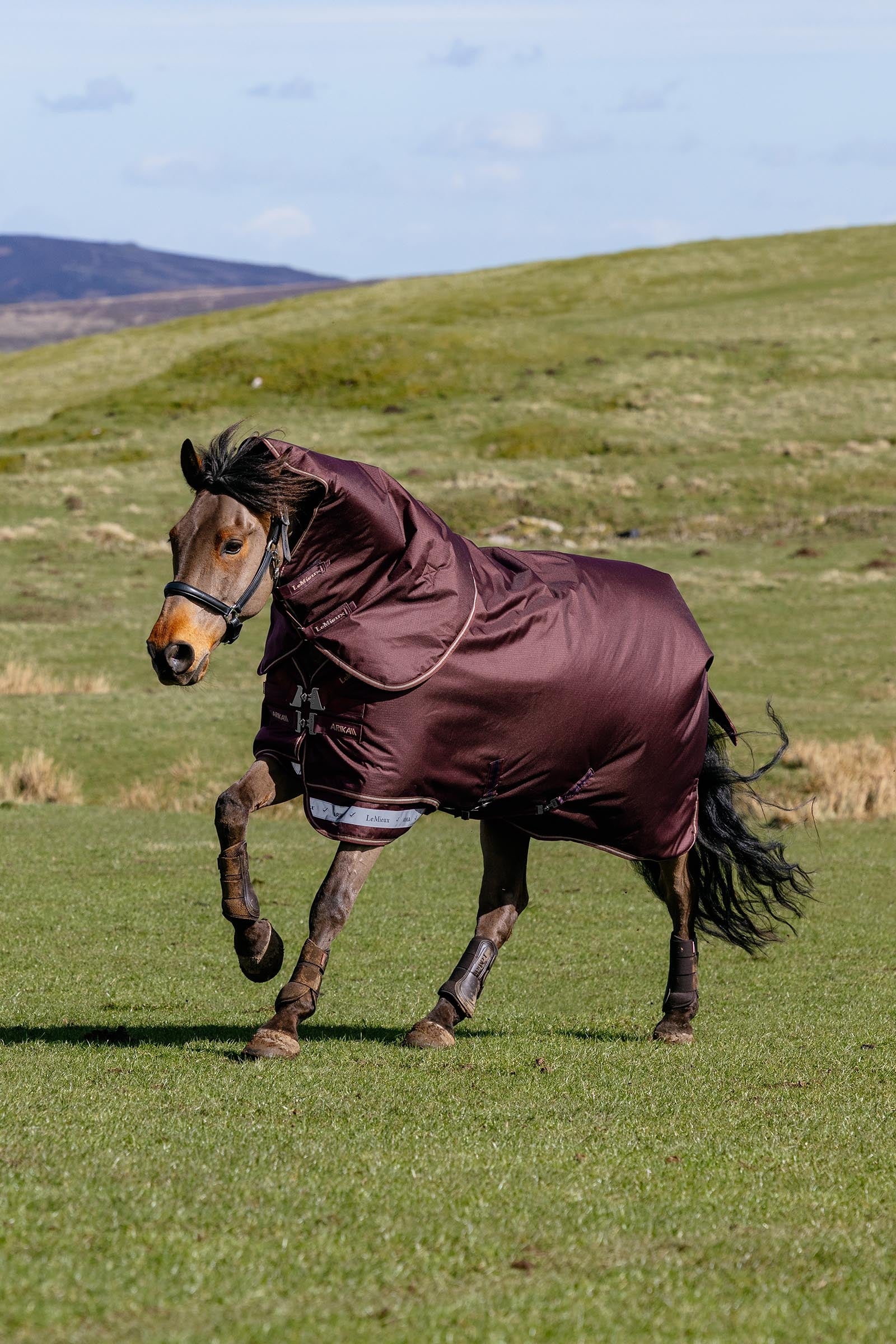 LeMieux Arika Ripstop Turnout Rug With Detachable Neck, 0 g Horse Rugs