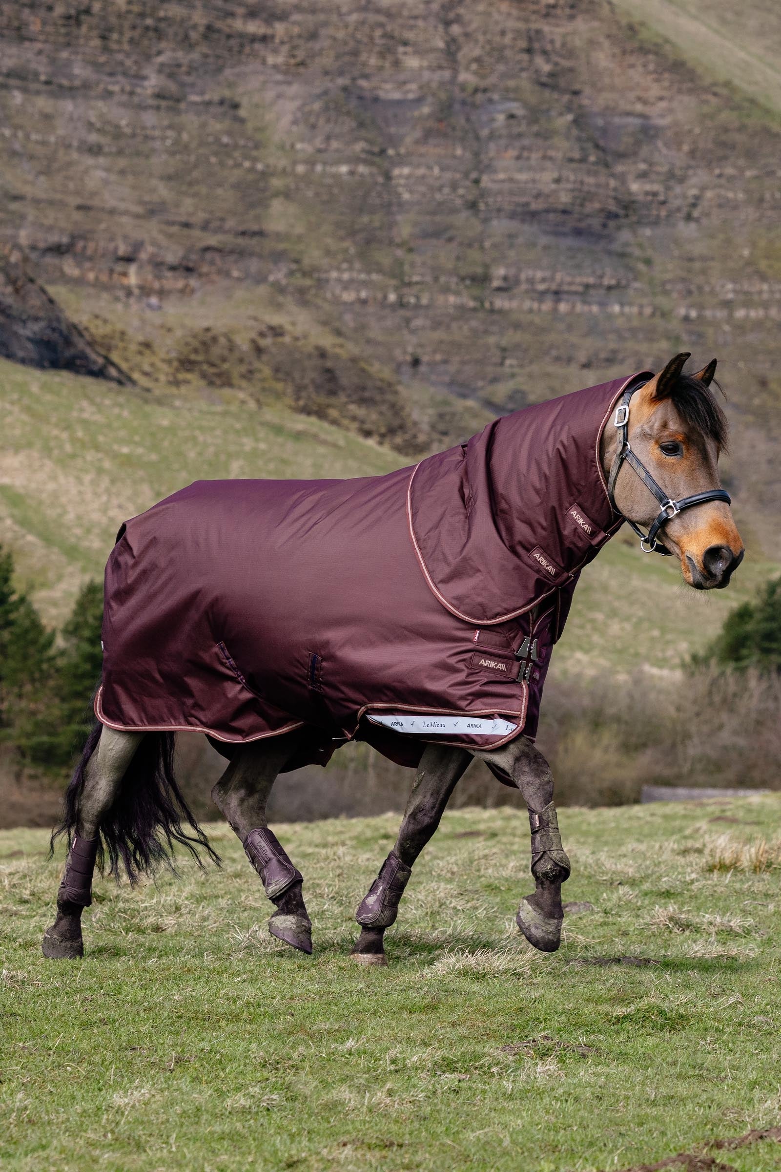 LeMieux Arika Ripstop Turnout Rug With Detachable Neck, 0 g Horse Rugs