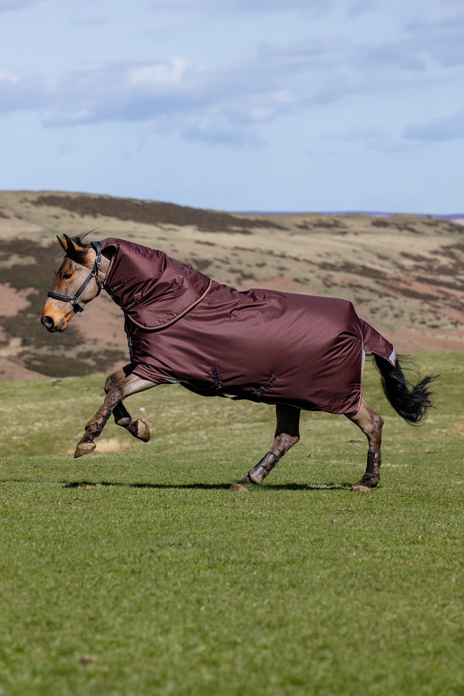 LeMieux Arika Ripstop Turnout Rug With Detachable Neck, 0 g Horse Rugs