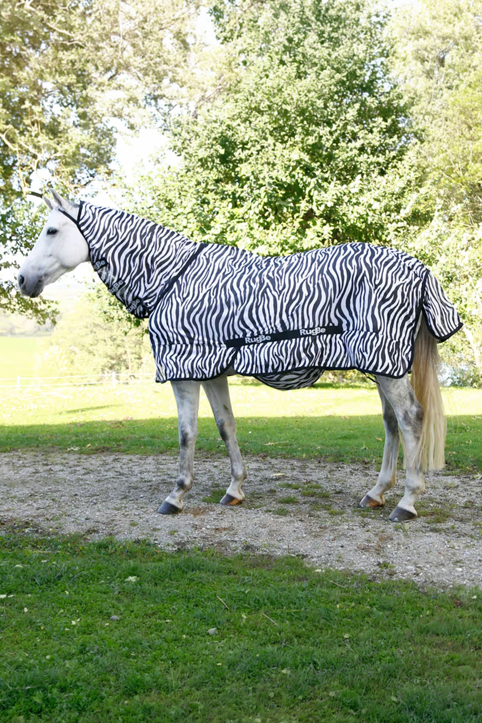 Covalliero RugBe Zebra Fly Sheet With Tail Flap Horse Rugs