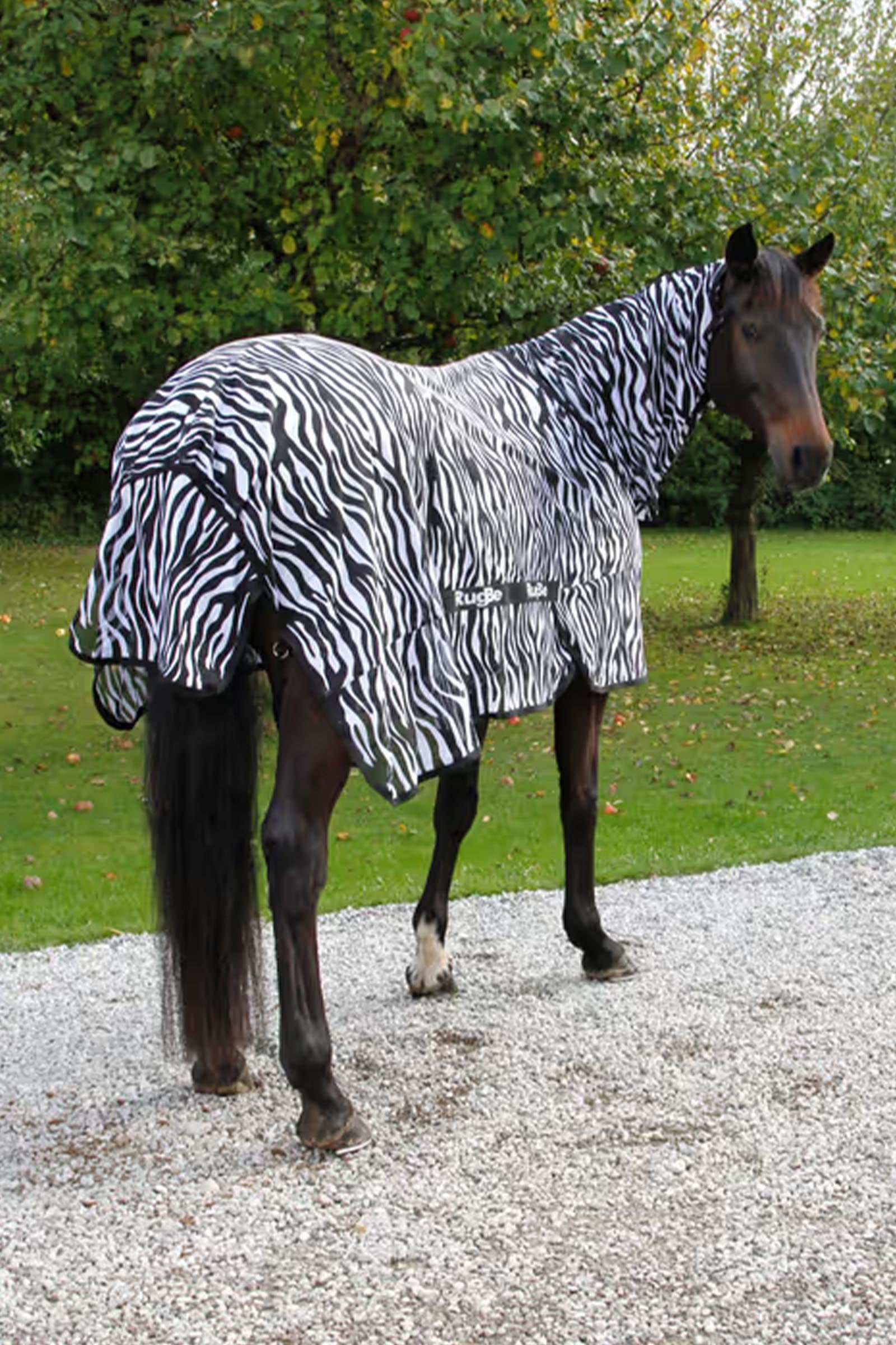 Covalliero RugBe Zebra Fly Sheet With Tail Flap Horse Rugs