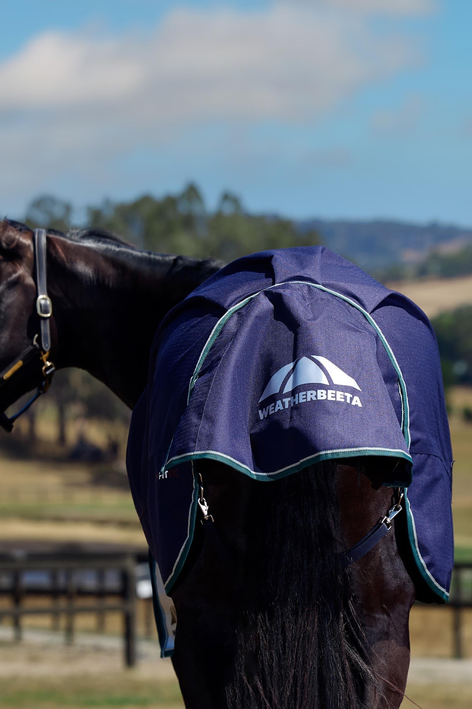 Weatherbeeta ComFiTecPlus Dynamic Turnout Rug, 0 g Horse Rugs