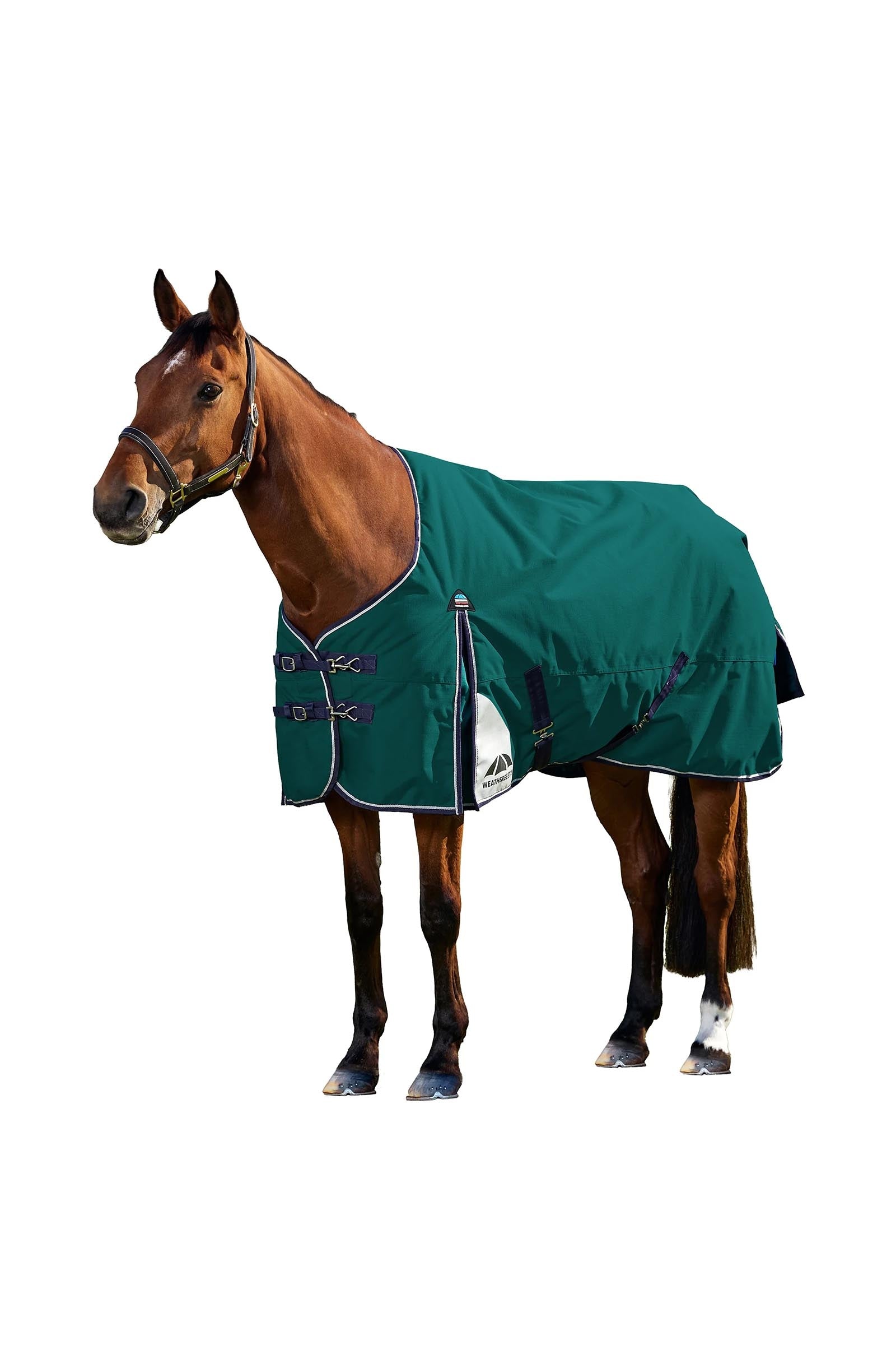 Model shot 1