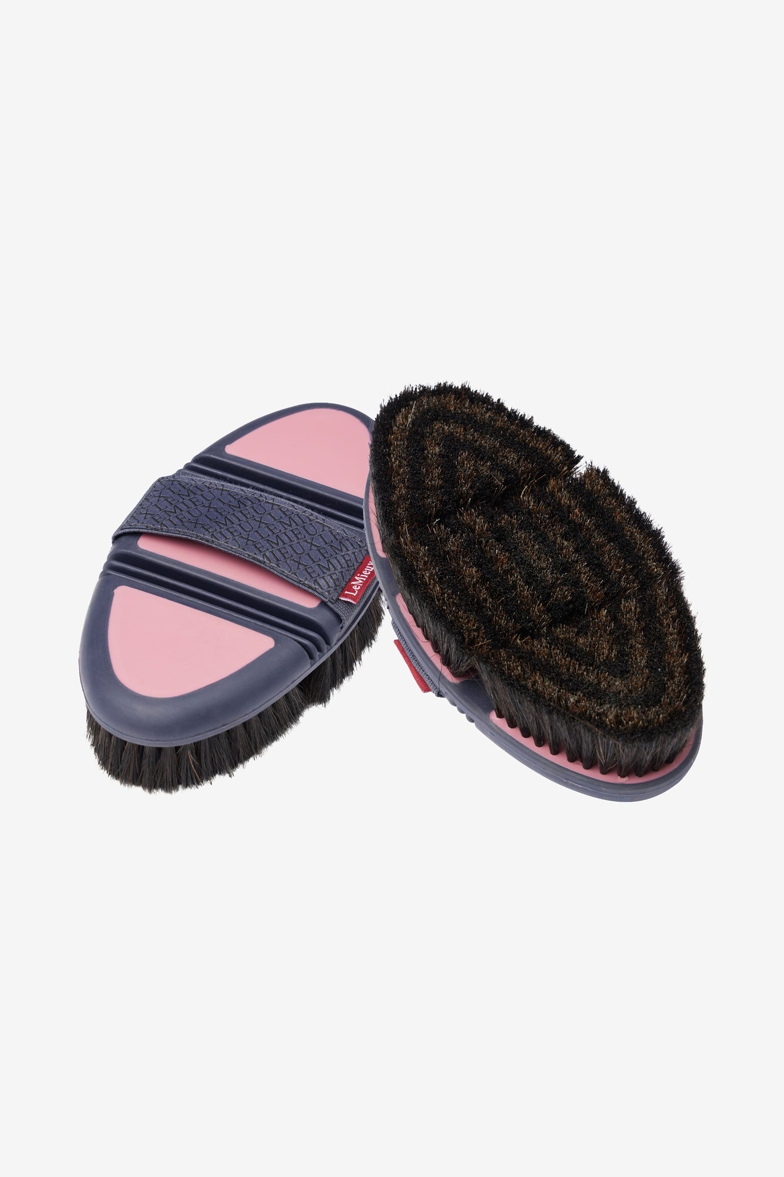 Alt Tag fallback text for IMAGE
