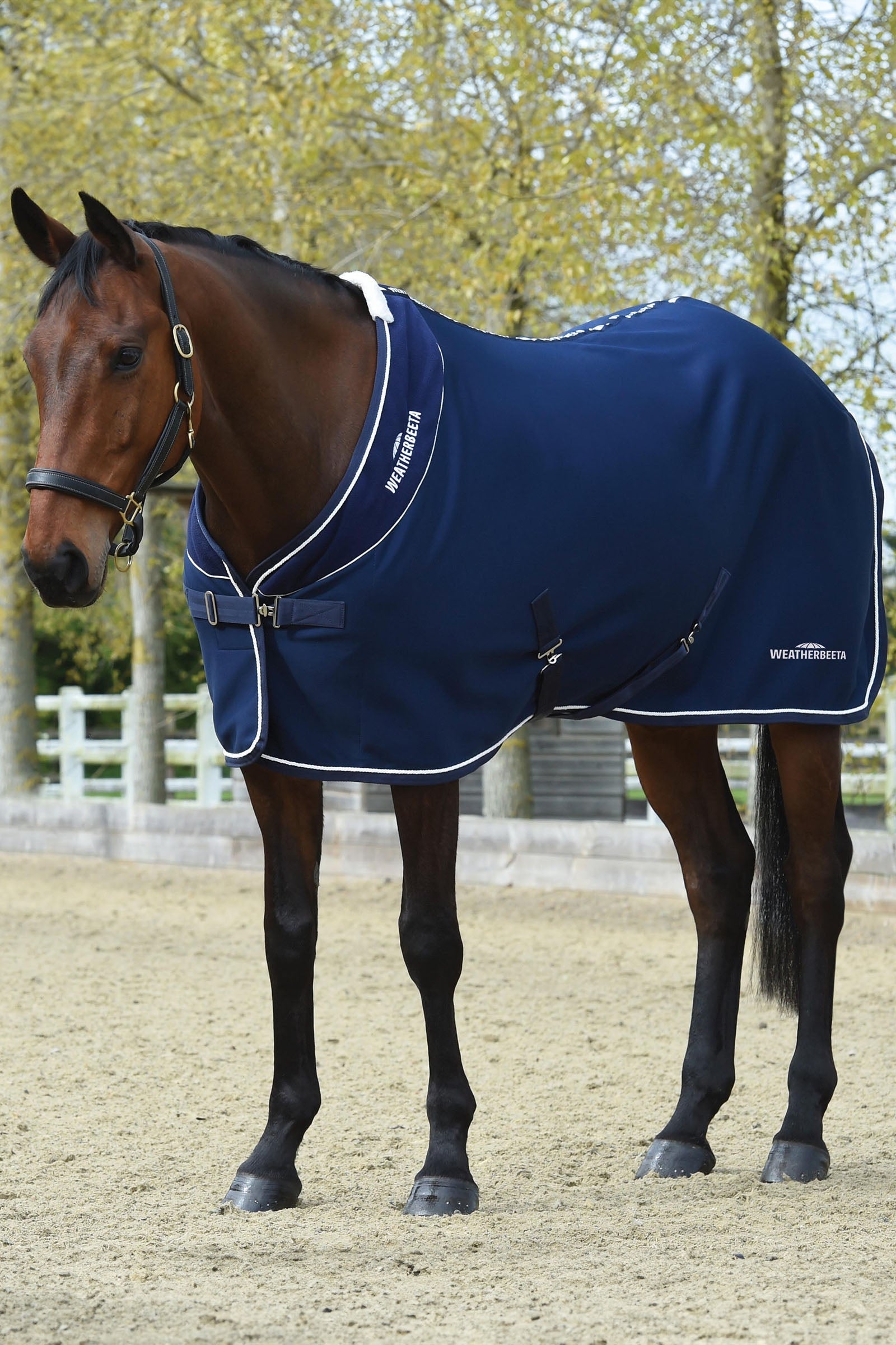 Weatherbeeta Opulence Show Sheet Standard Neck Horse Rugs