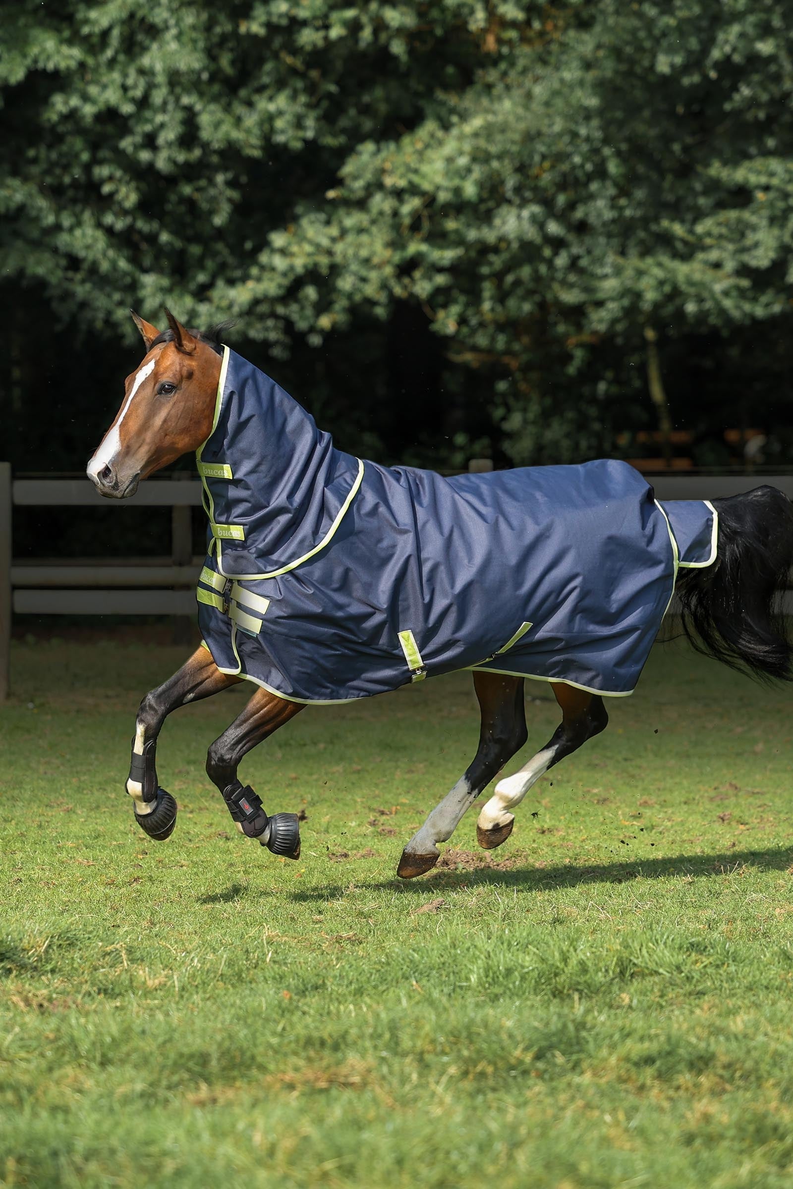 Bucas Oasis Turnout + Neck Set, 100g Horse Rugs