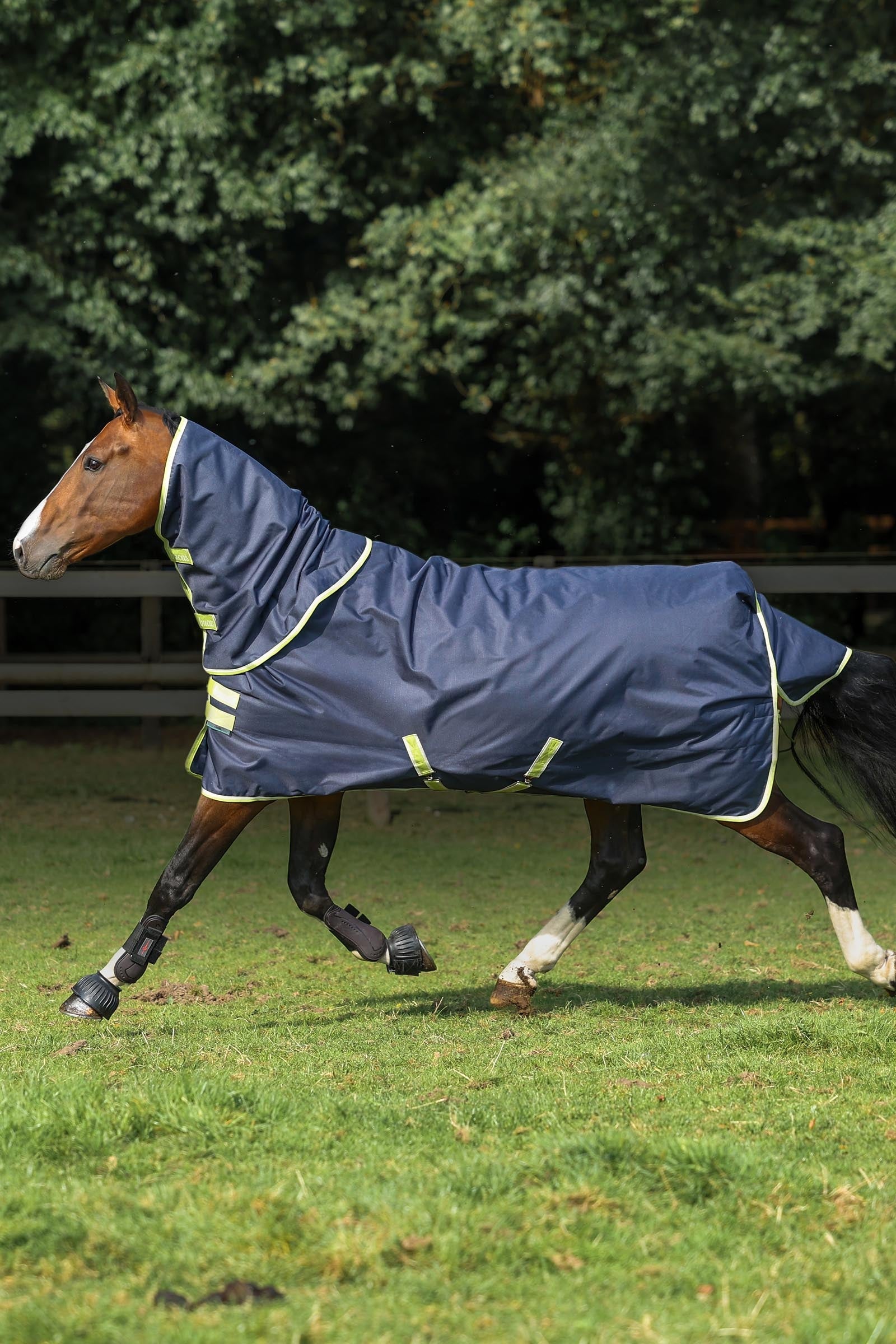 Bucas Oasis Turnout + Neck Set, 100g Horse Rugs