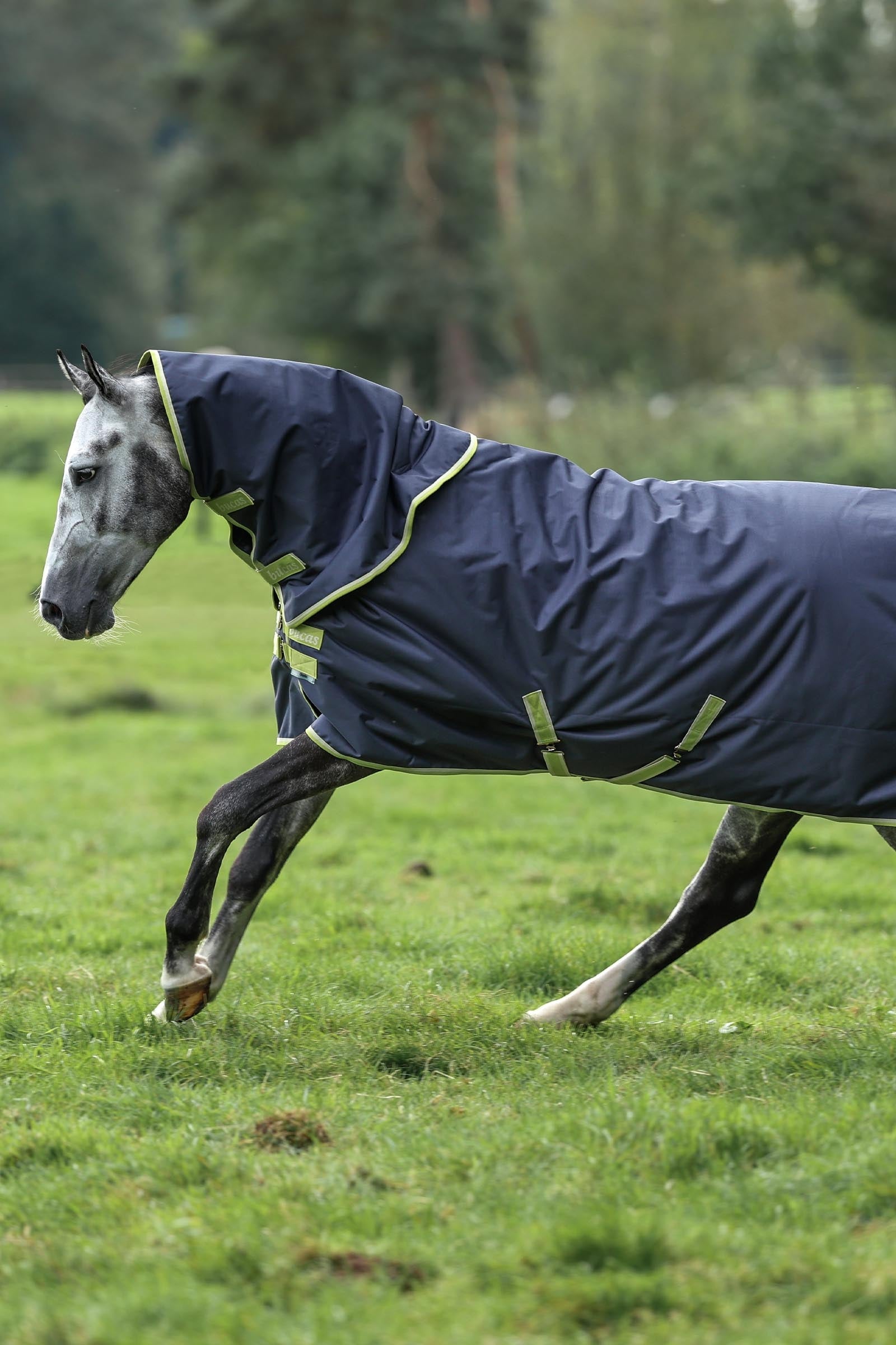 Bucas Oasis Turnout + Neck Set, 100g Horse Rugs
