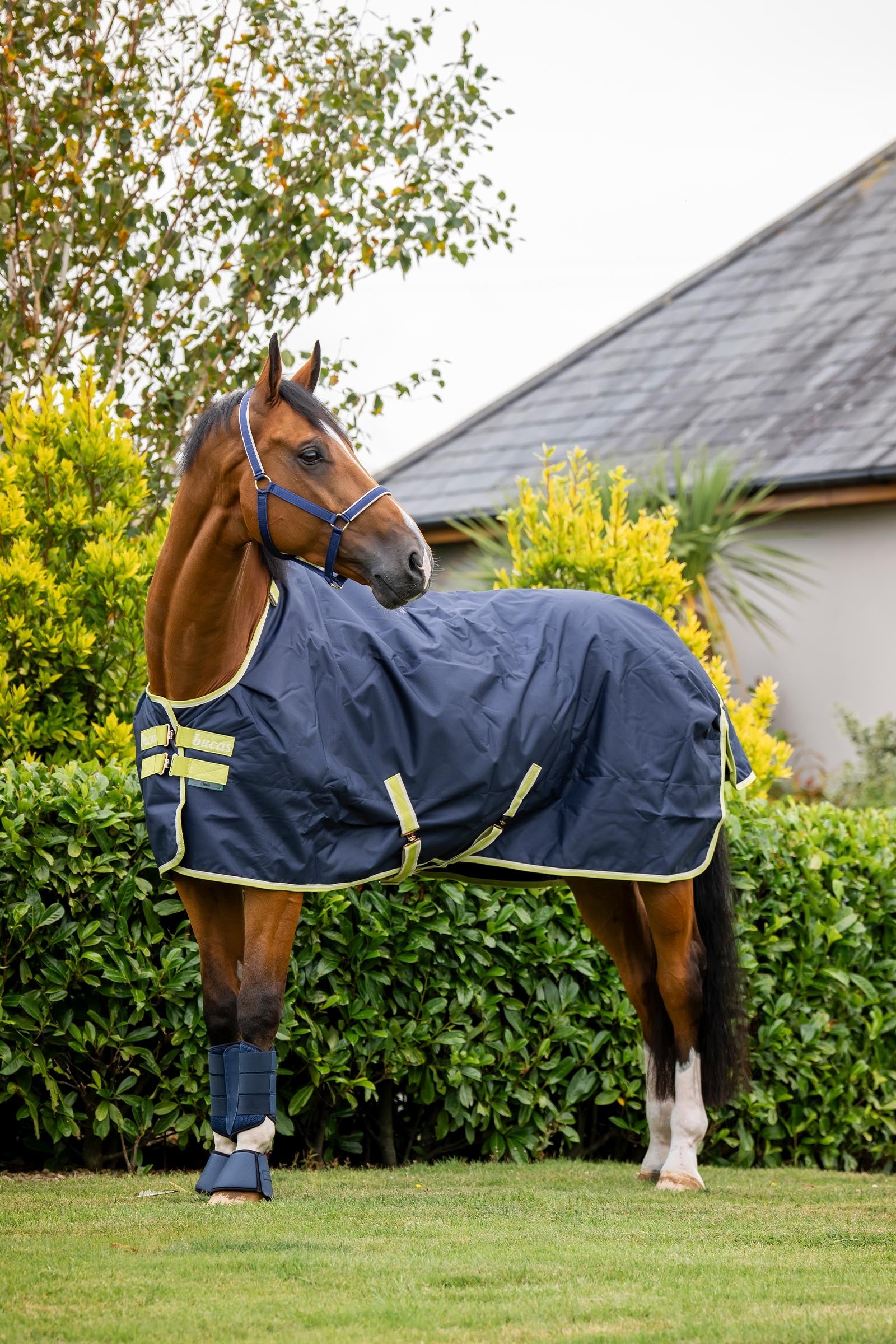 Bucas Oasis Turnout + Neck Set, 100g Horse Rugs