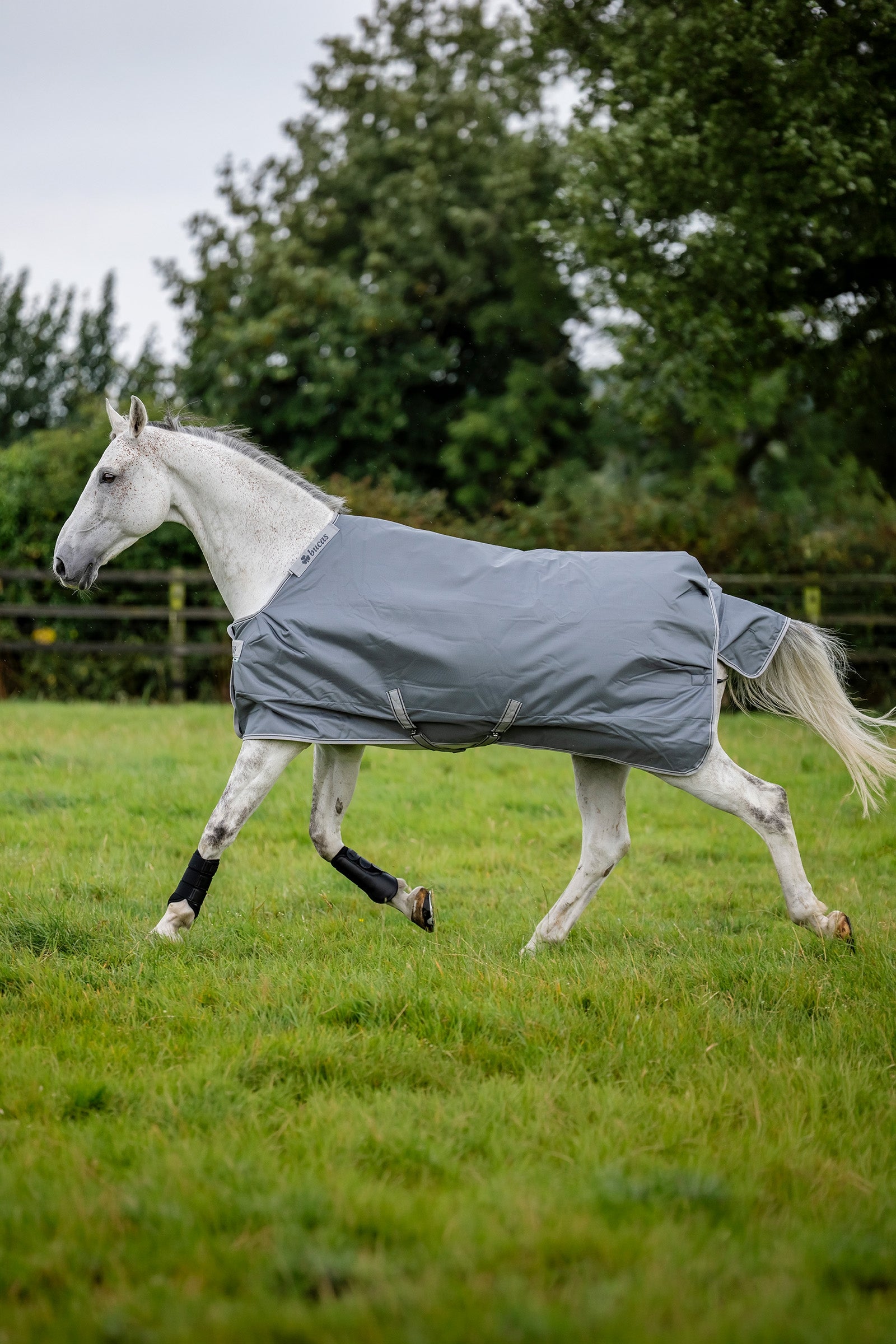 Bucas Smartex Rain Turnout Rug, 0g Horse Rugs