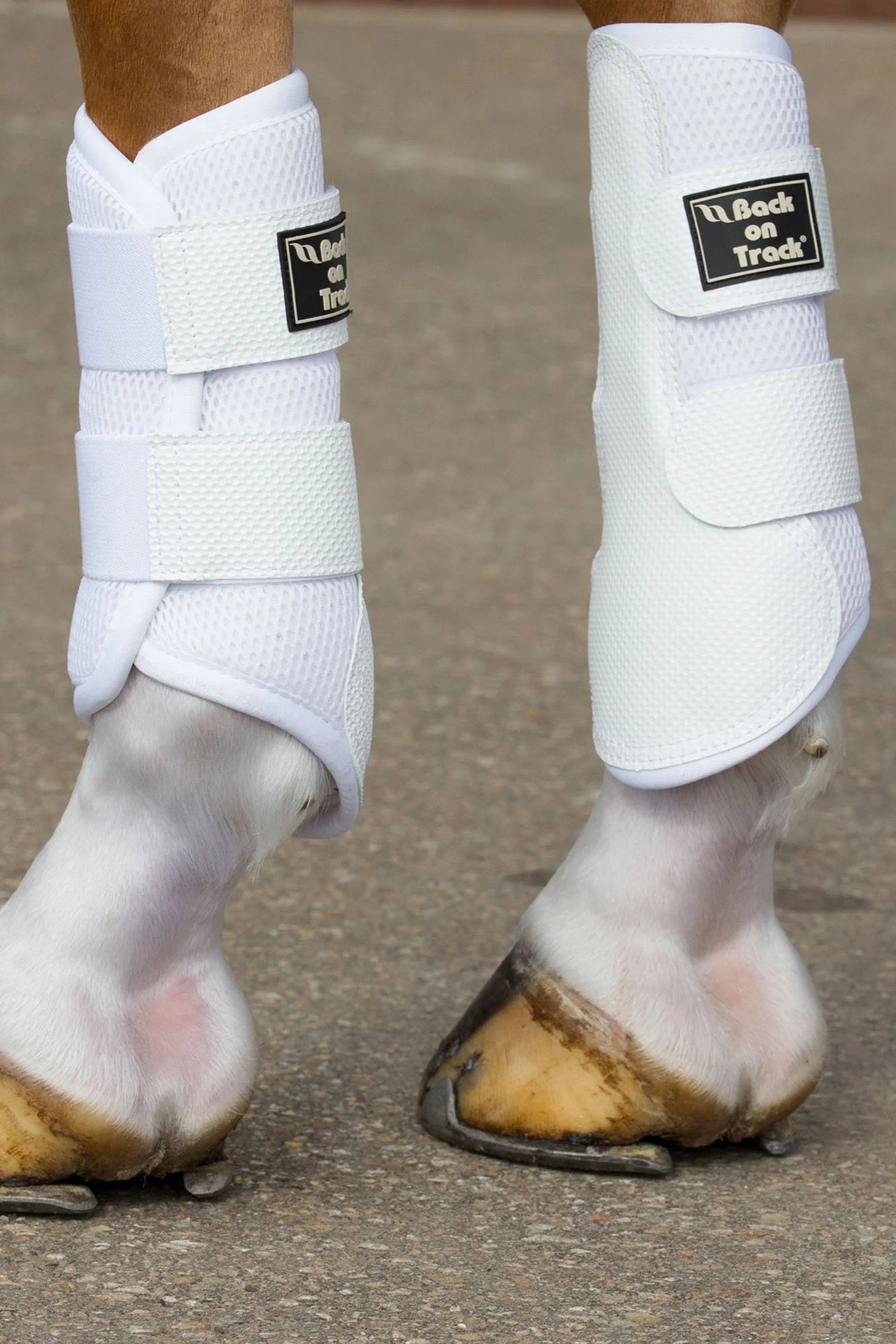 Back on Track 3D Mesh Boots, S-M Leg & Hoof Protection