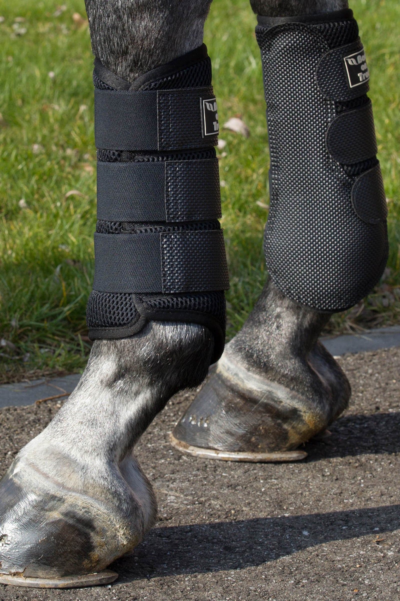 Back on Track 3D Mesh Boots, S-M Leg & Hoof Protection