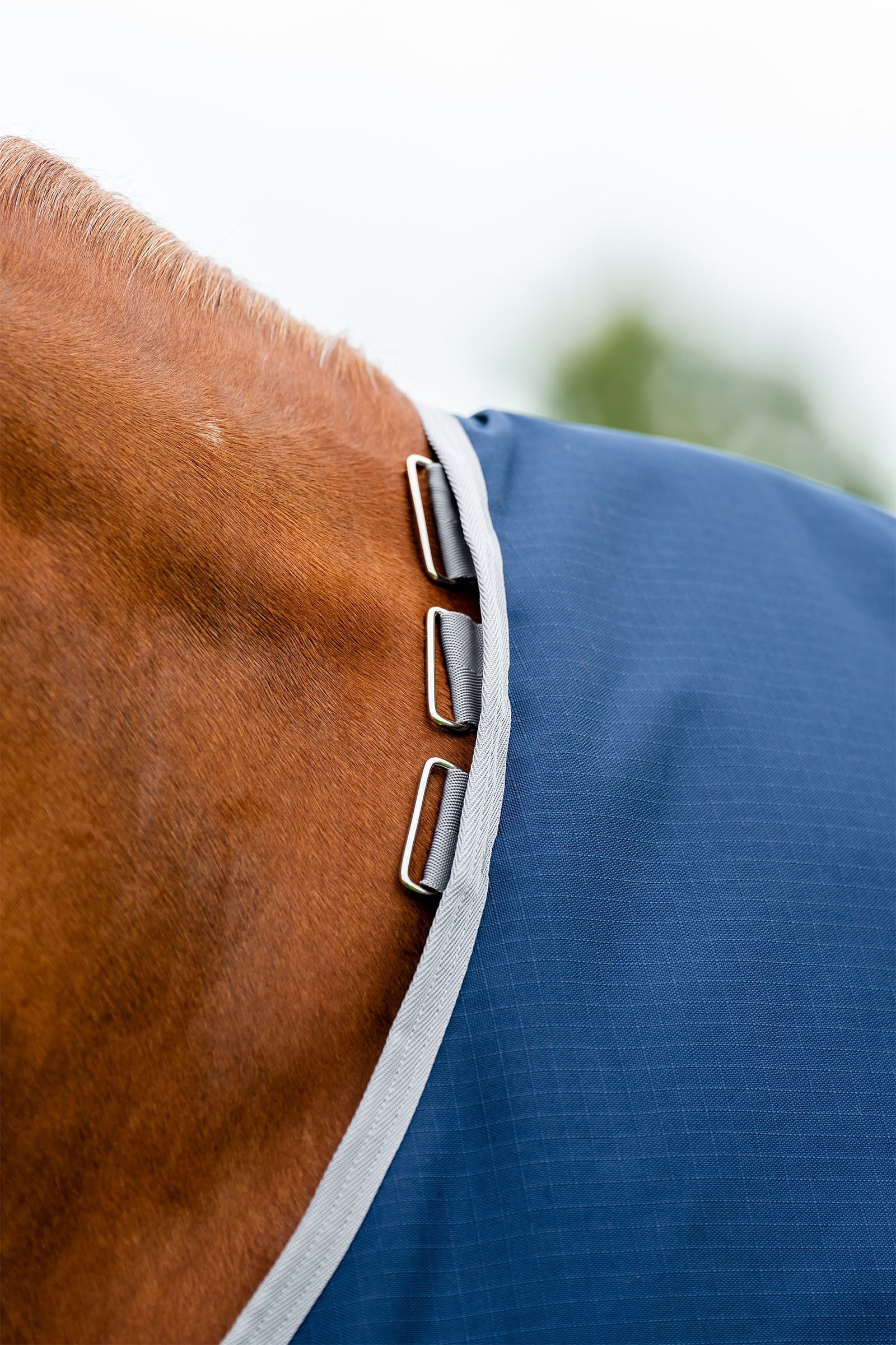 Horseware Amigo Ripstop Turnout Rug 900D, 50g Horse Rugs