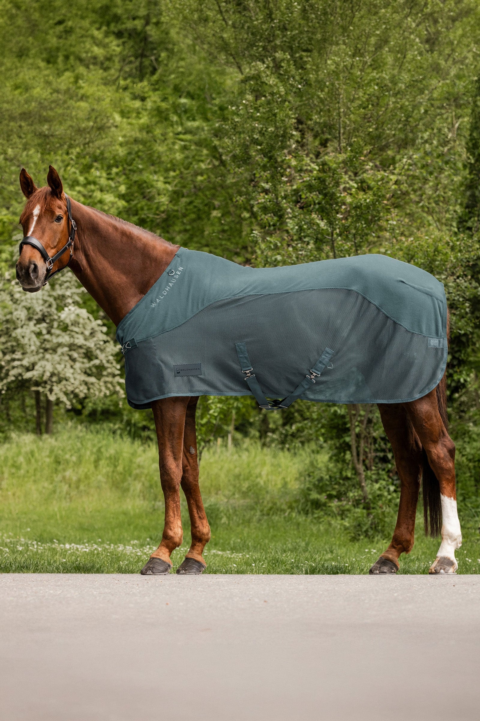 Waldhausen Comfort Fleece Fly Rug Horse Rugs