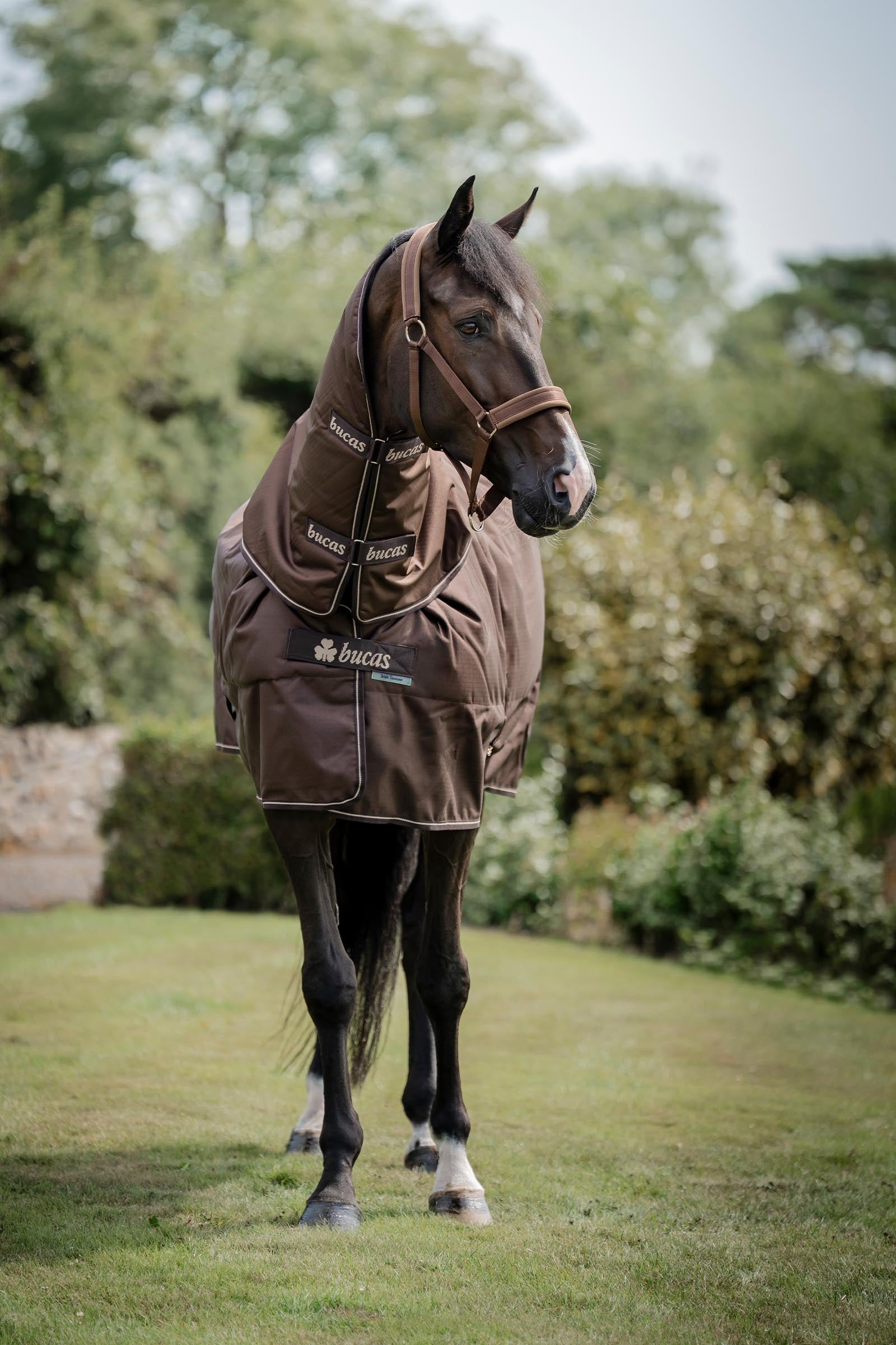Bucas Irish Turnout 50 g Rug & Neck Horse Rugs