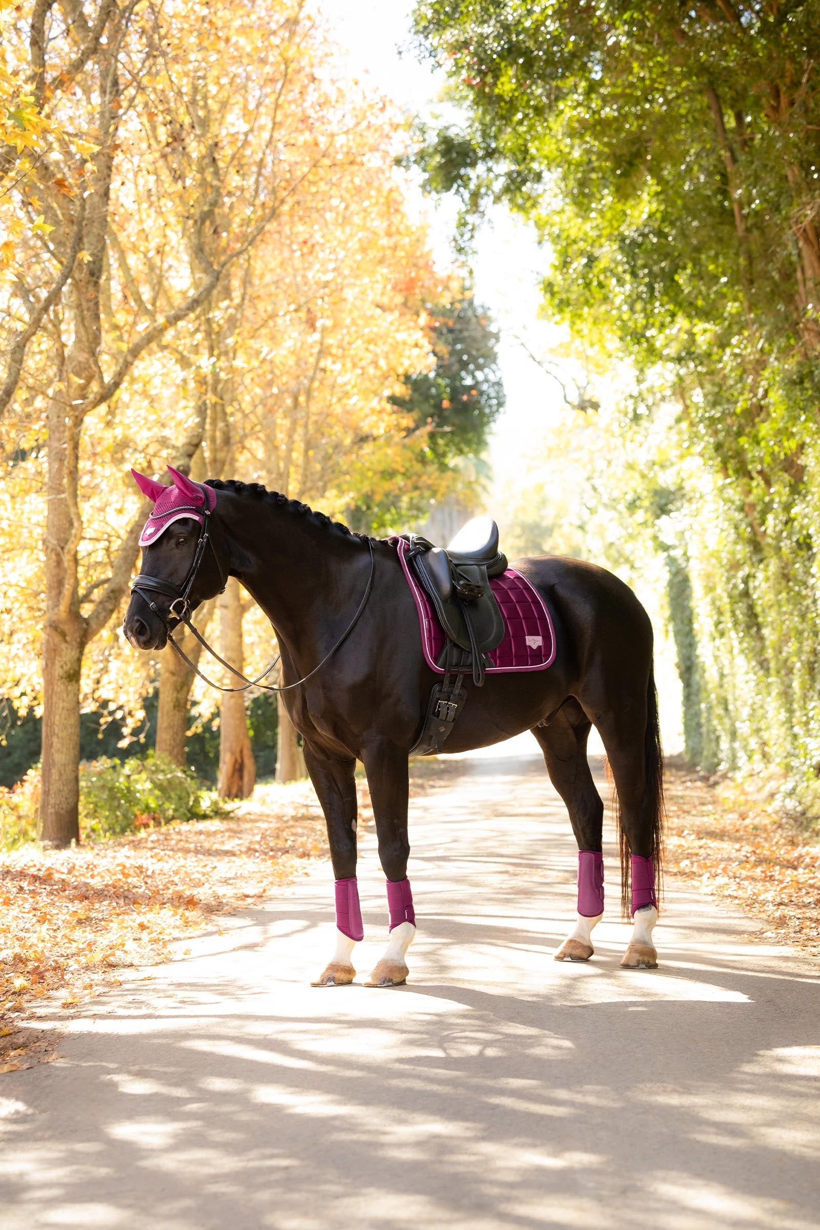LeMieux Loire Classic Square Dressage Saddle Pad Saddle Pads