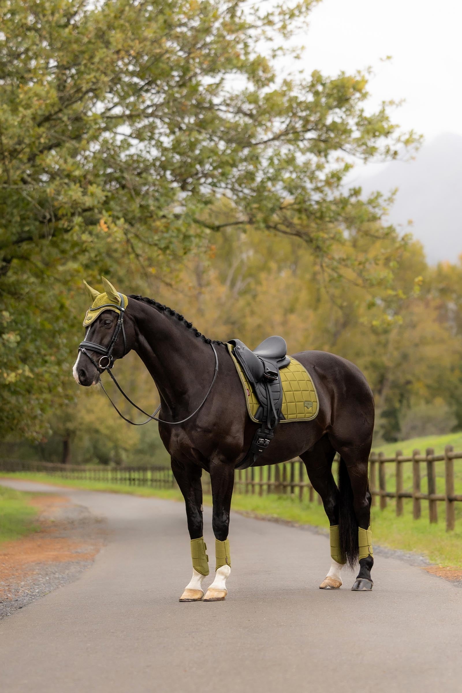 LeMieux Loire Classic Square Dressage Saddle Pad Saddle Pads