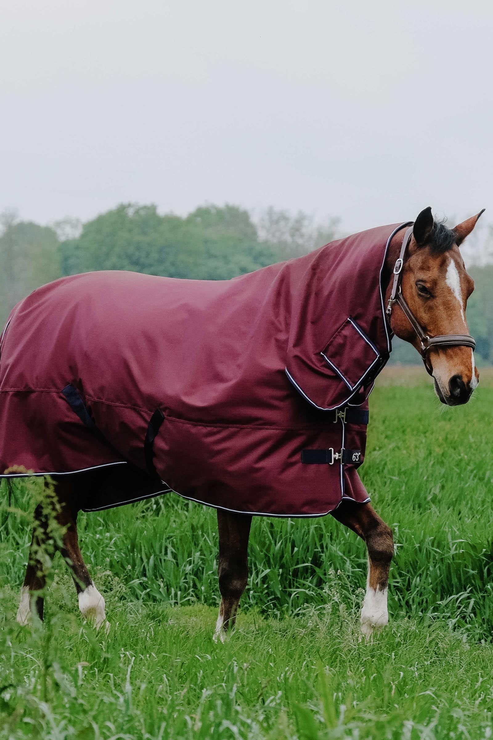 EQUITHÈME TYREX 1200D Combo Rug, 0 g Horse Rugs