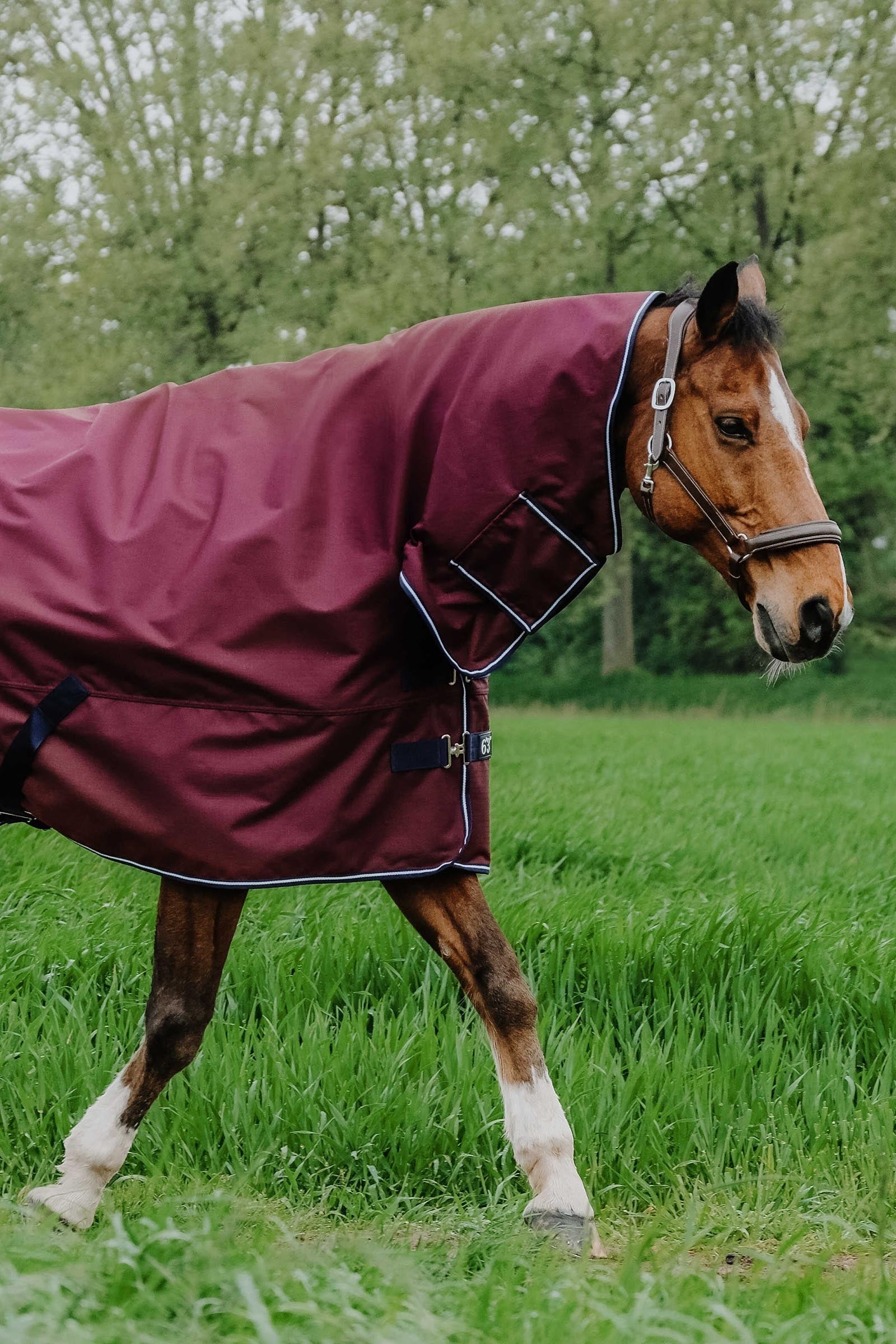 EQUITHÈME TYREX 1200D Combo Rug, 0 g Horse Rugs