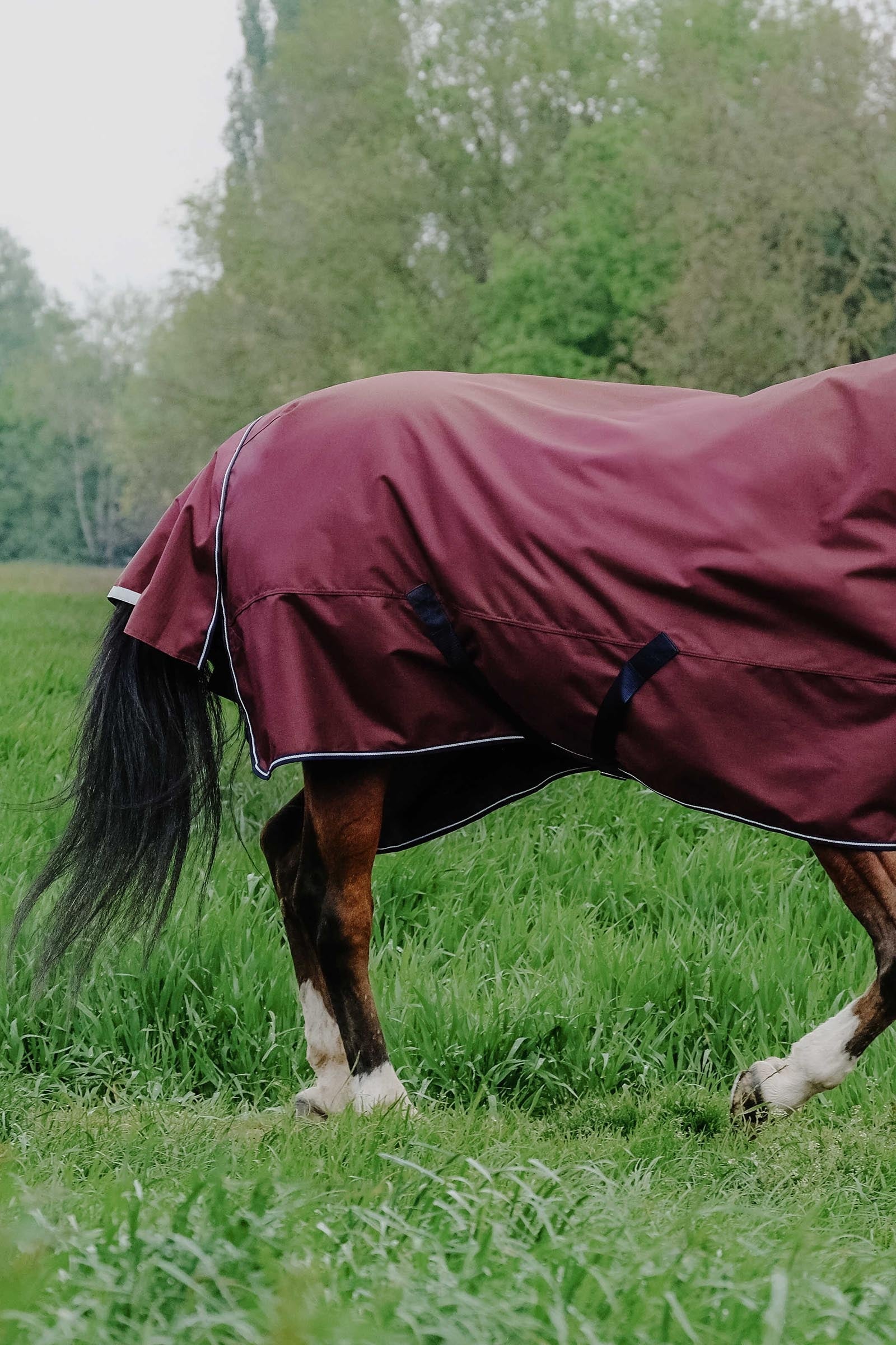 EQUITHÈME TYREX 1200D Combo Rug, 0 g Horse Rugs
