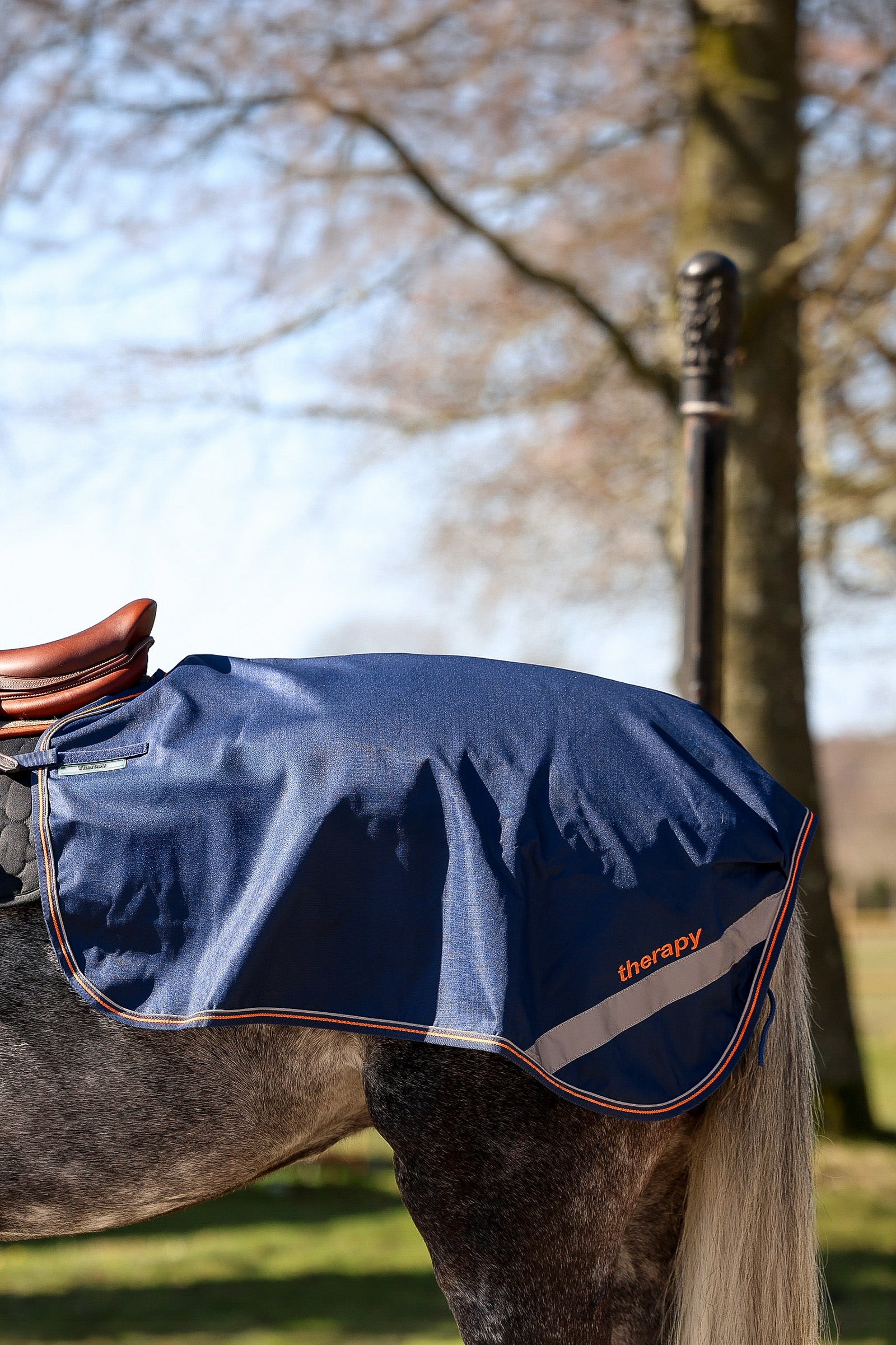 Bucas Therapy Quarter Sheet Horse Rugs