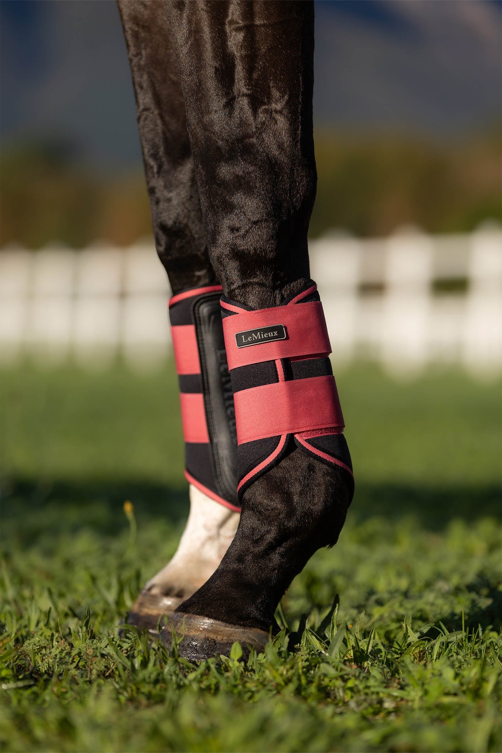 LeMieux Grafter Brushing Boots Leg & Hoof Protection