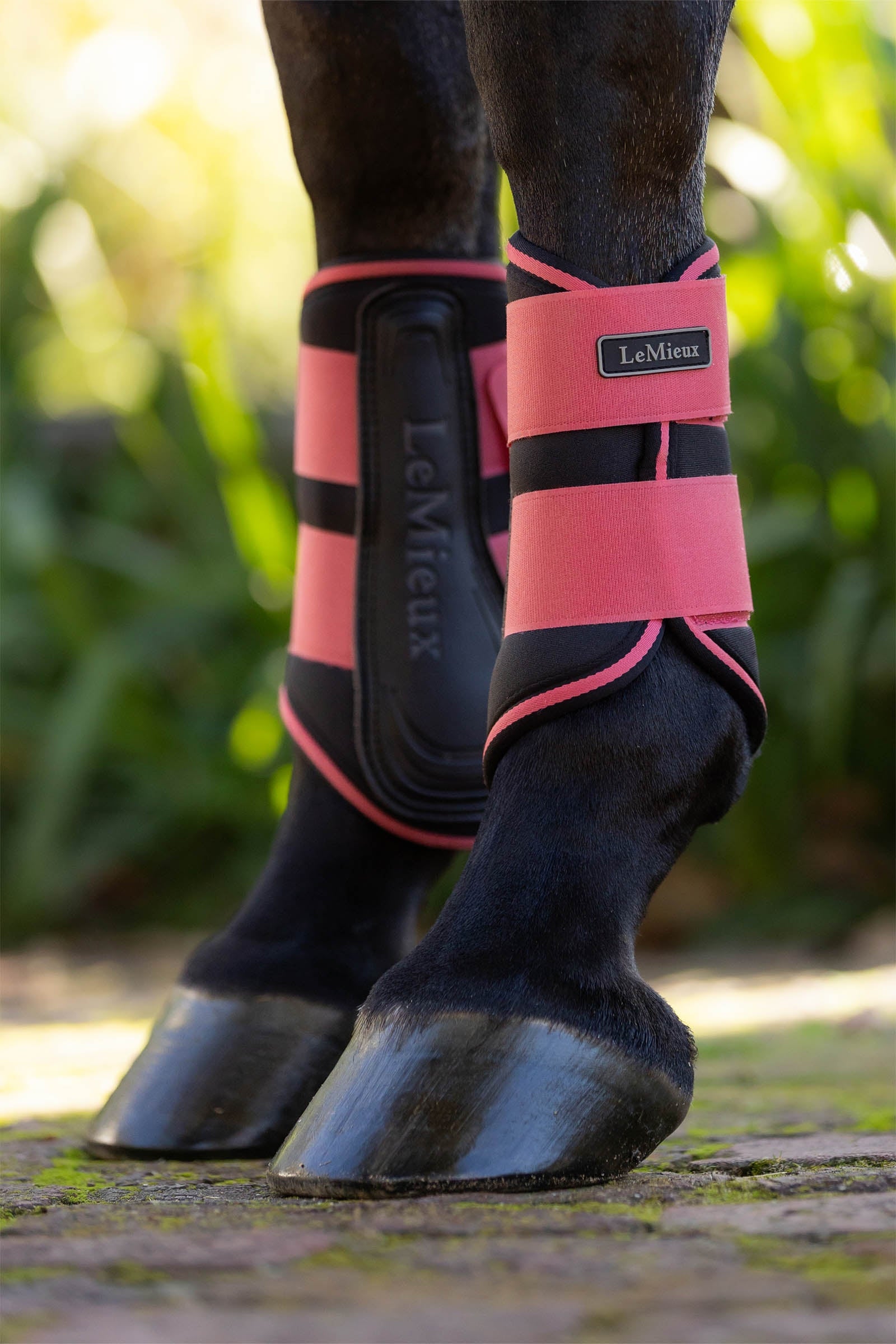 LeMieux Grafter Brushing Boots Leg & Hoof Protection