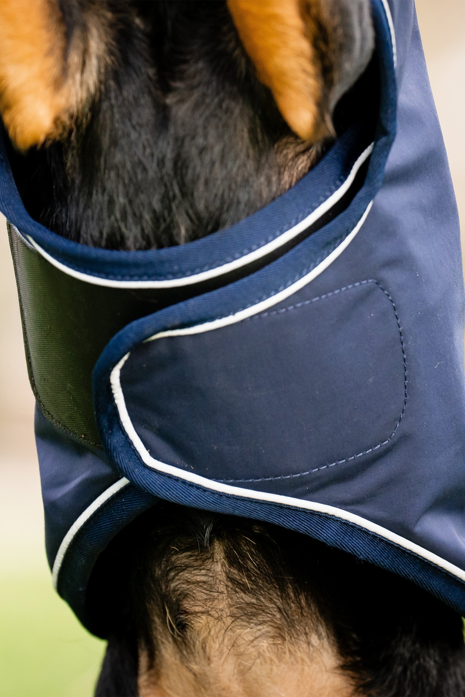 Horseware Signature Dog Rain Coat Dog Accesories
