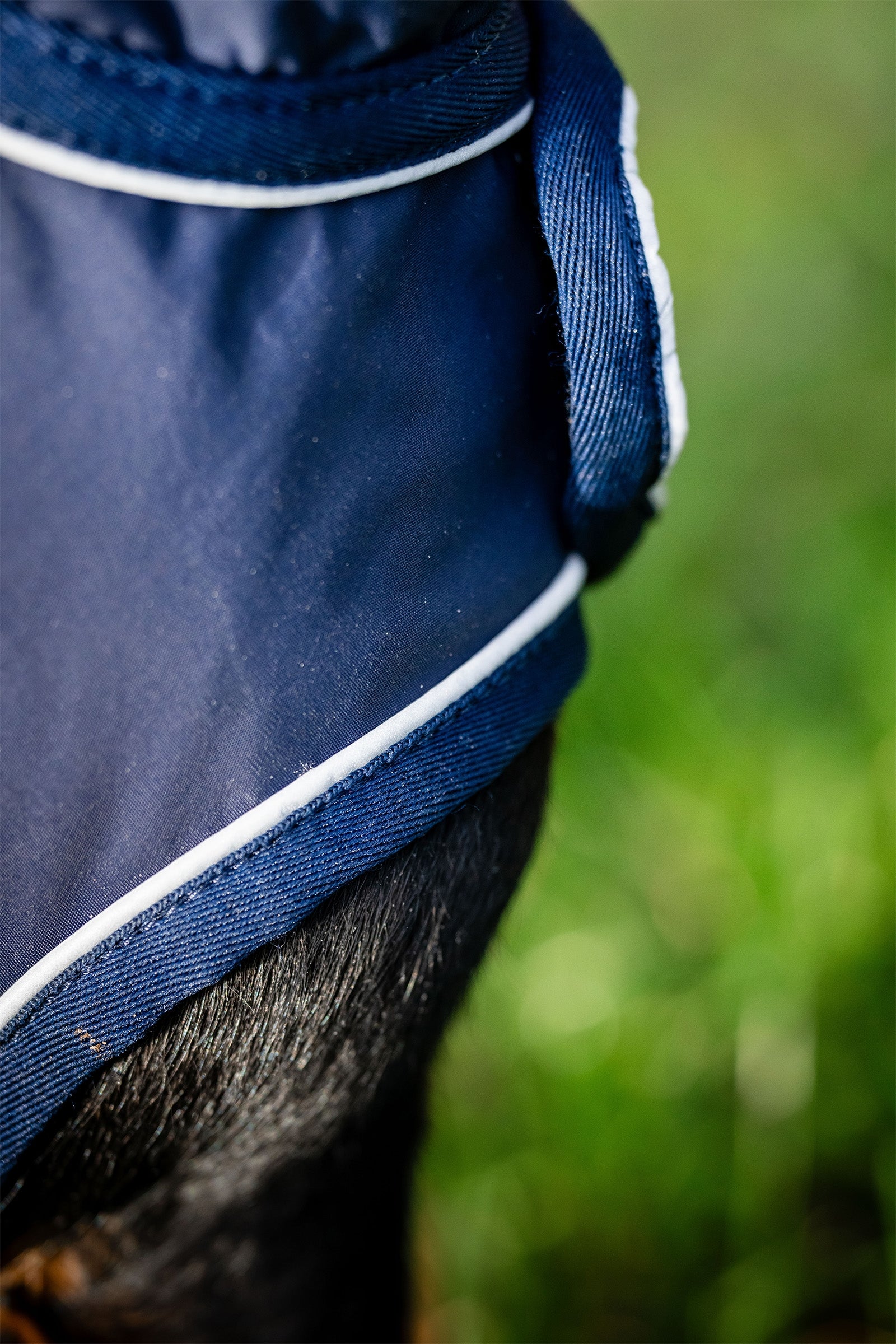 Horseware Signature Dog Rain Coat Dog Accesories