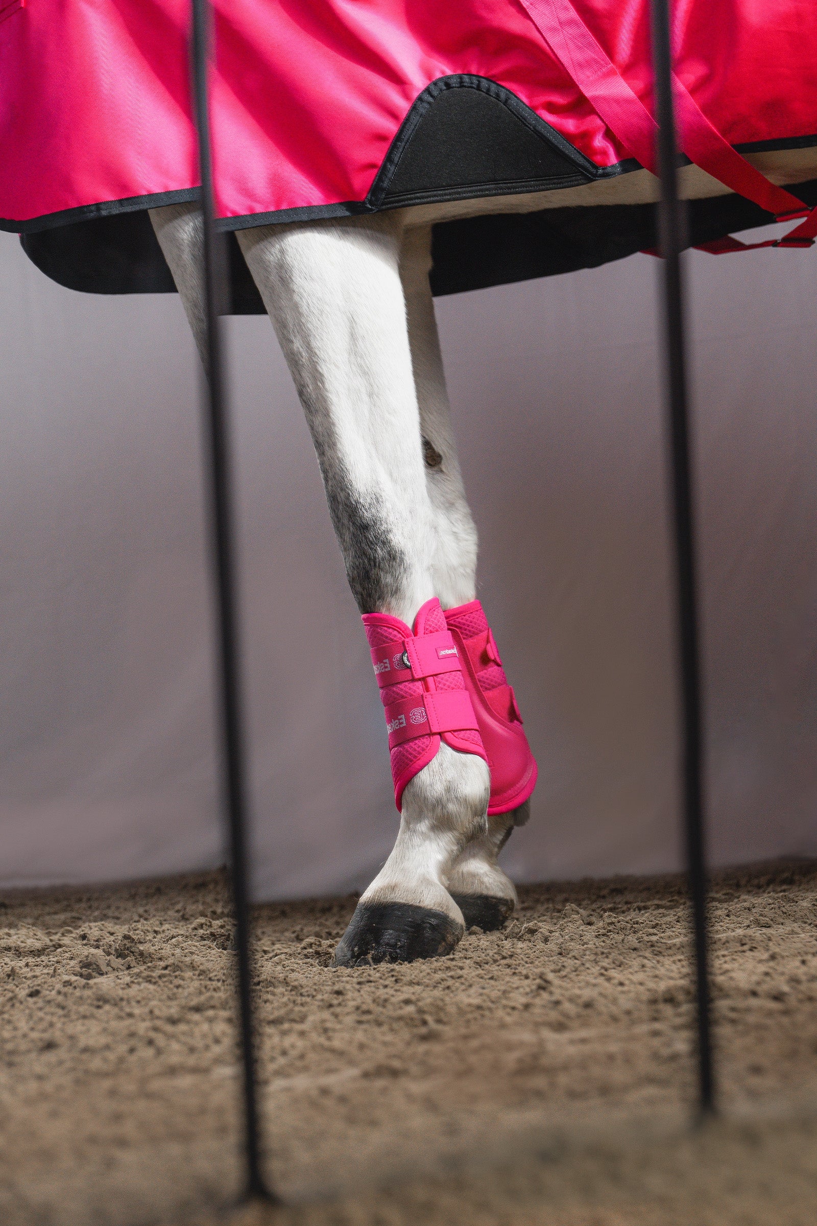 Eskadron Dynamic AW26 Beta 1680D 50g Turnout Rug Horse Rugs
