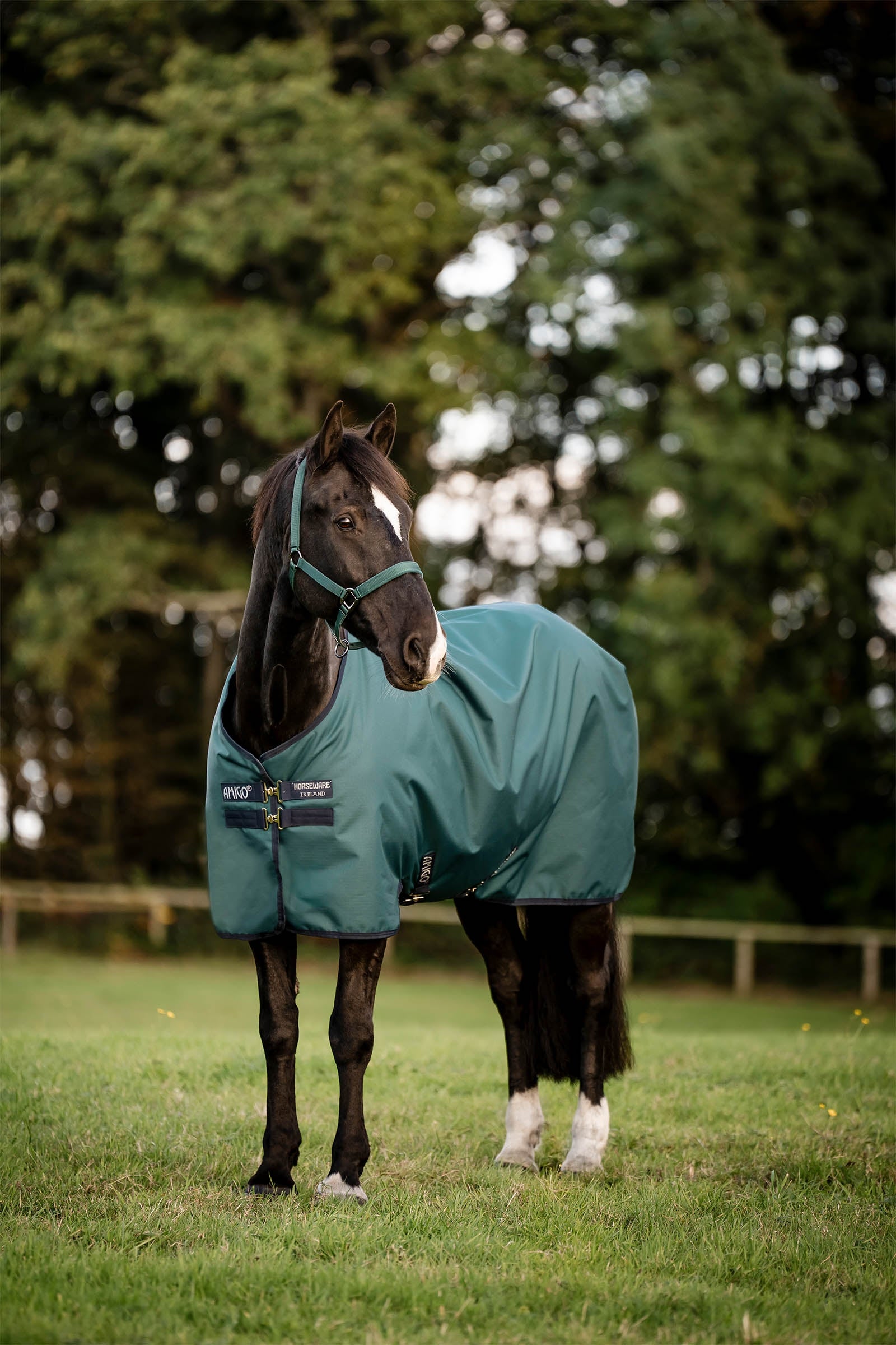 Horseware Amigo Ripstop 900D Fleece Lined Turnout Rug, 50 g Horse Rugs