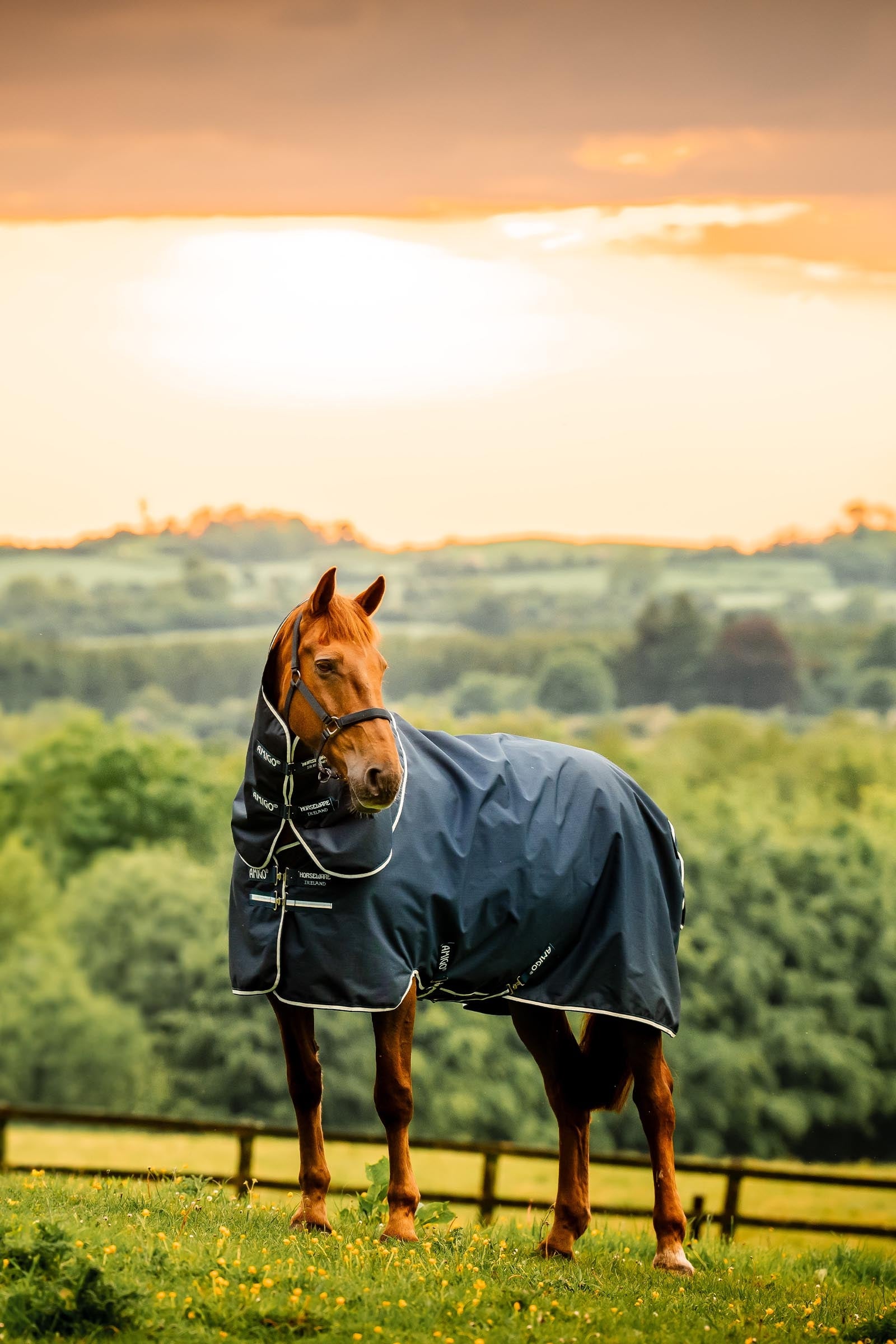 Horseware Amigo Ripstop 900D Plus Turnout, 200g Horse Rugs