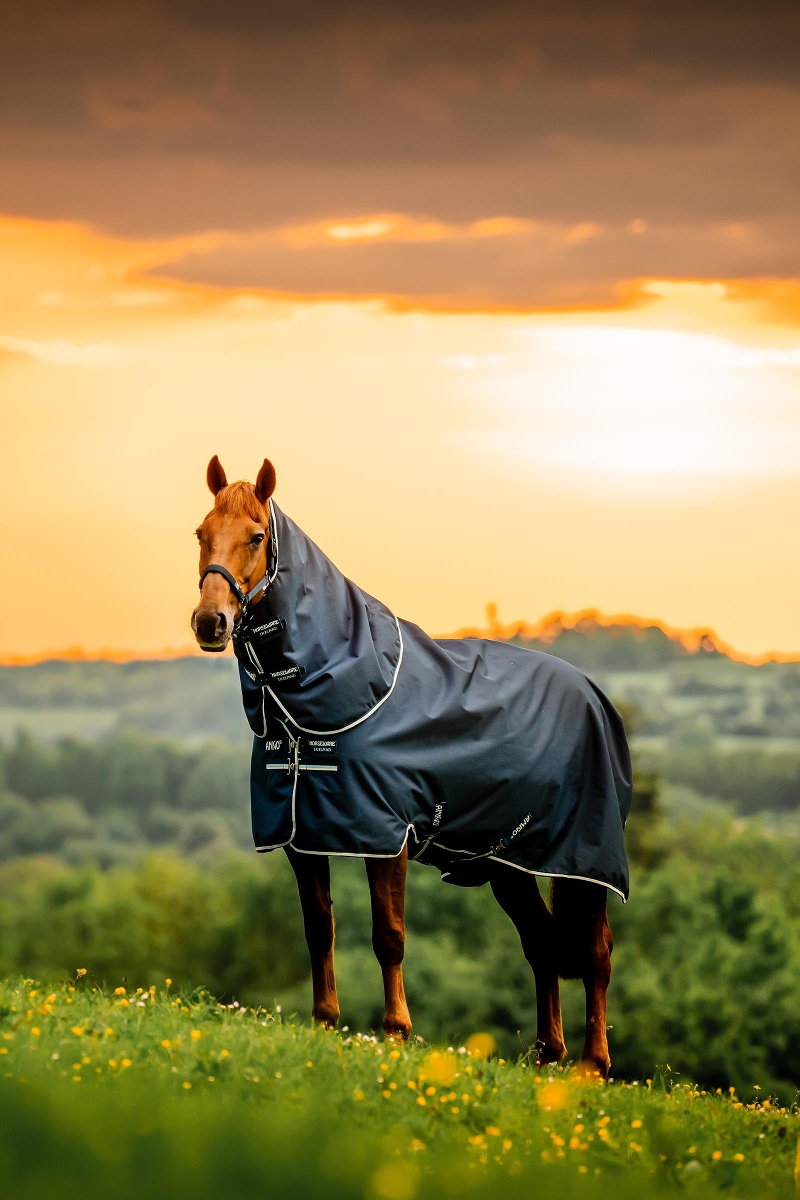 Horseware Amigo Ripstop 900D Plus Turnout, 200g Horse Rugs