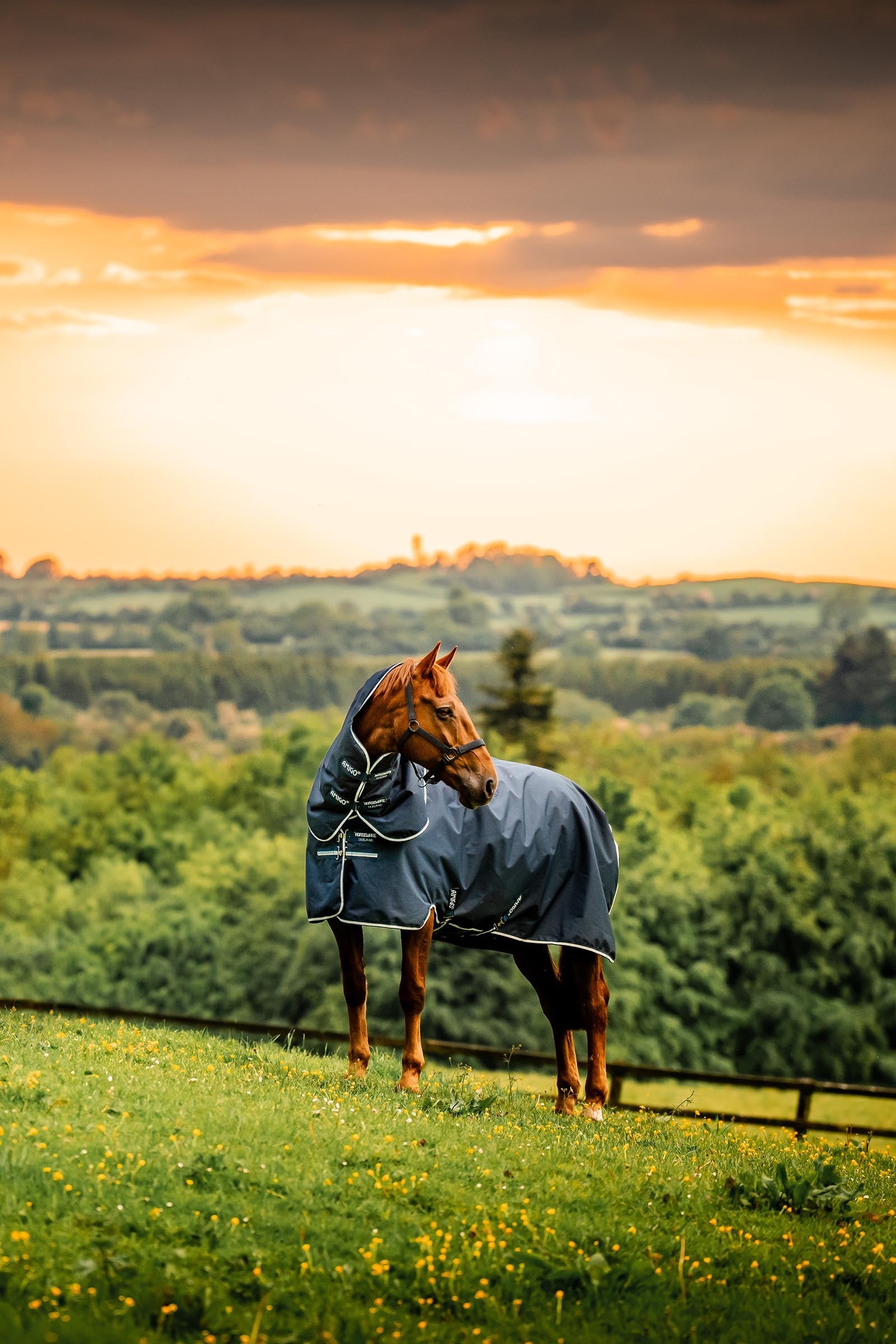 Horseware Amigo Ripstop 900D Plus Turnout, 200g Horse Rugs