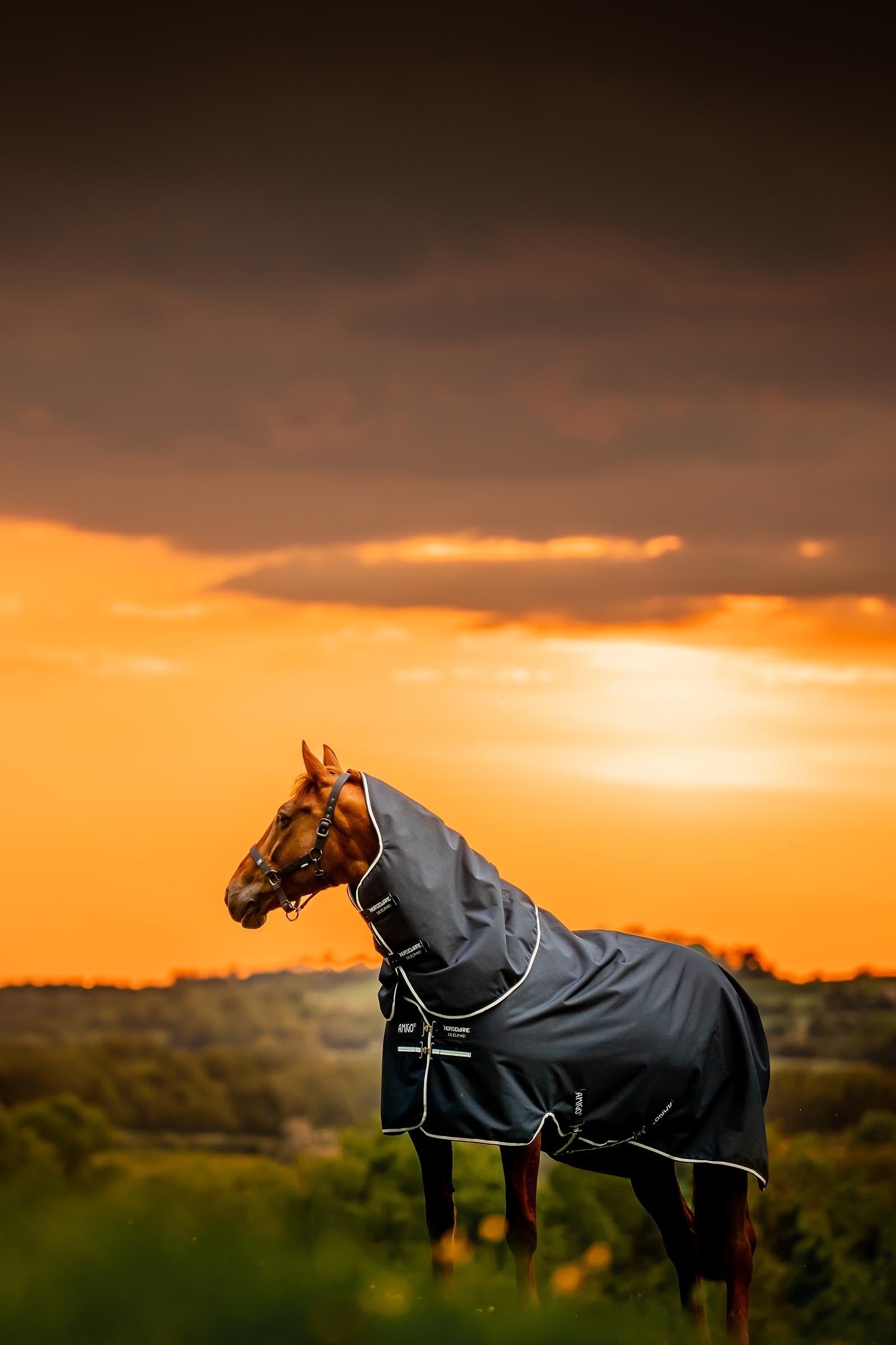 Horseware Amigo Ripstop 900D Plus Turnout, 200g Horse Rugs