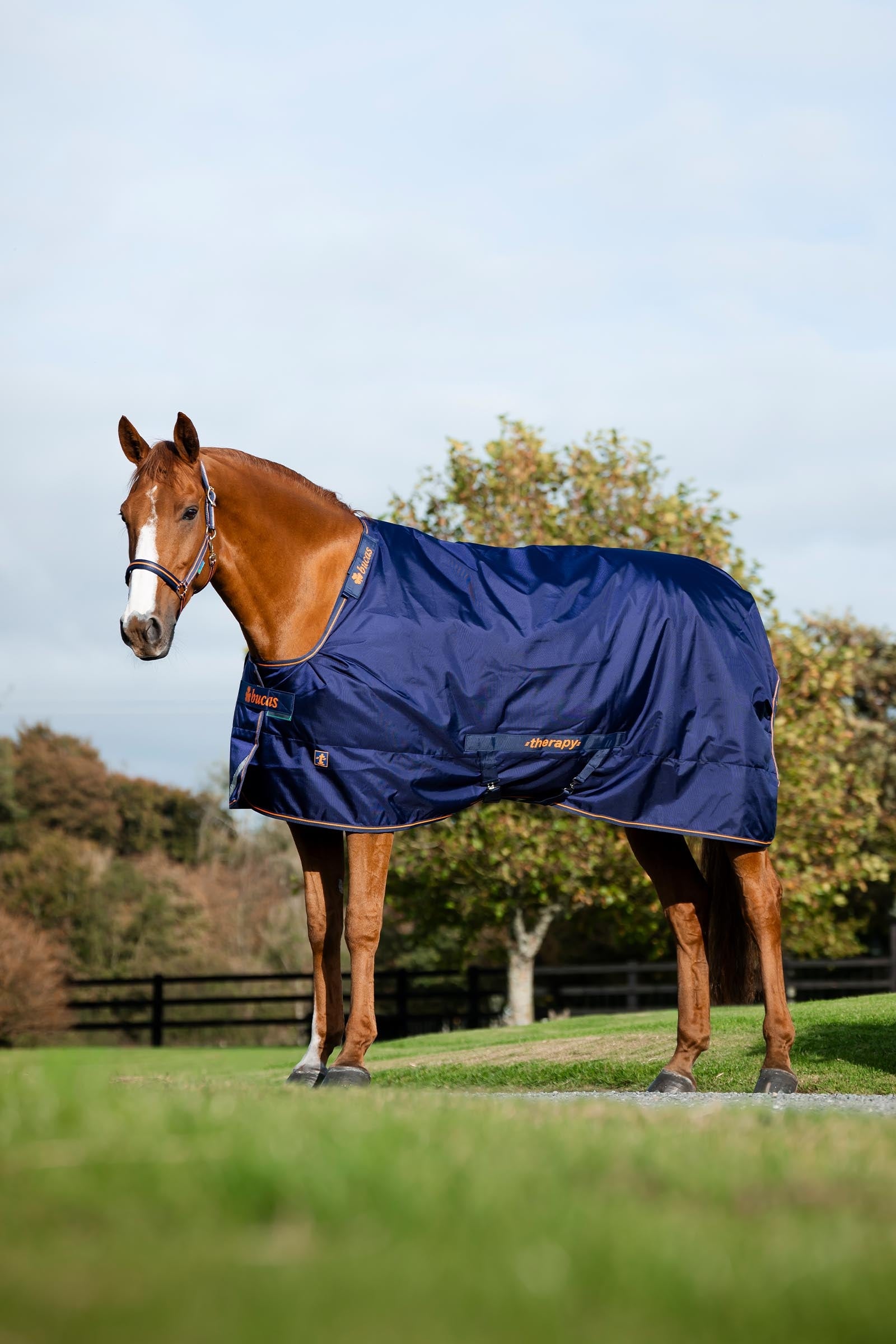 Bucas Therapy Turnout Rug, 150g Horse Rugs