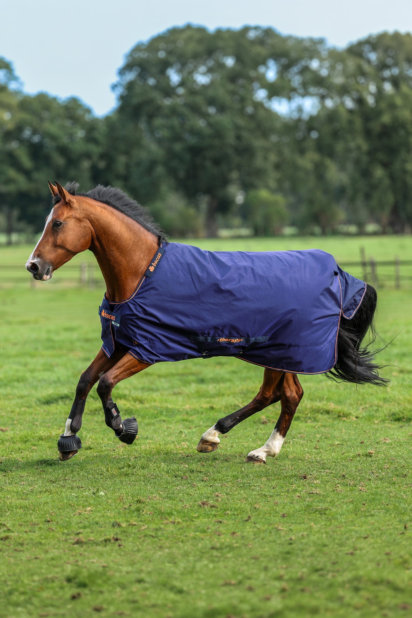 Bucas Therapy Turnout Rug, 150g Horse Rugs