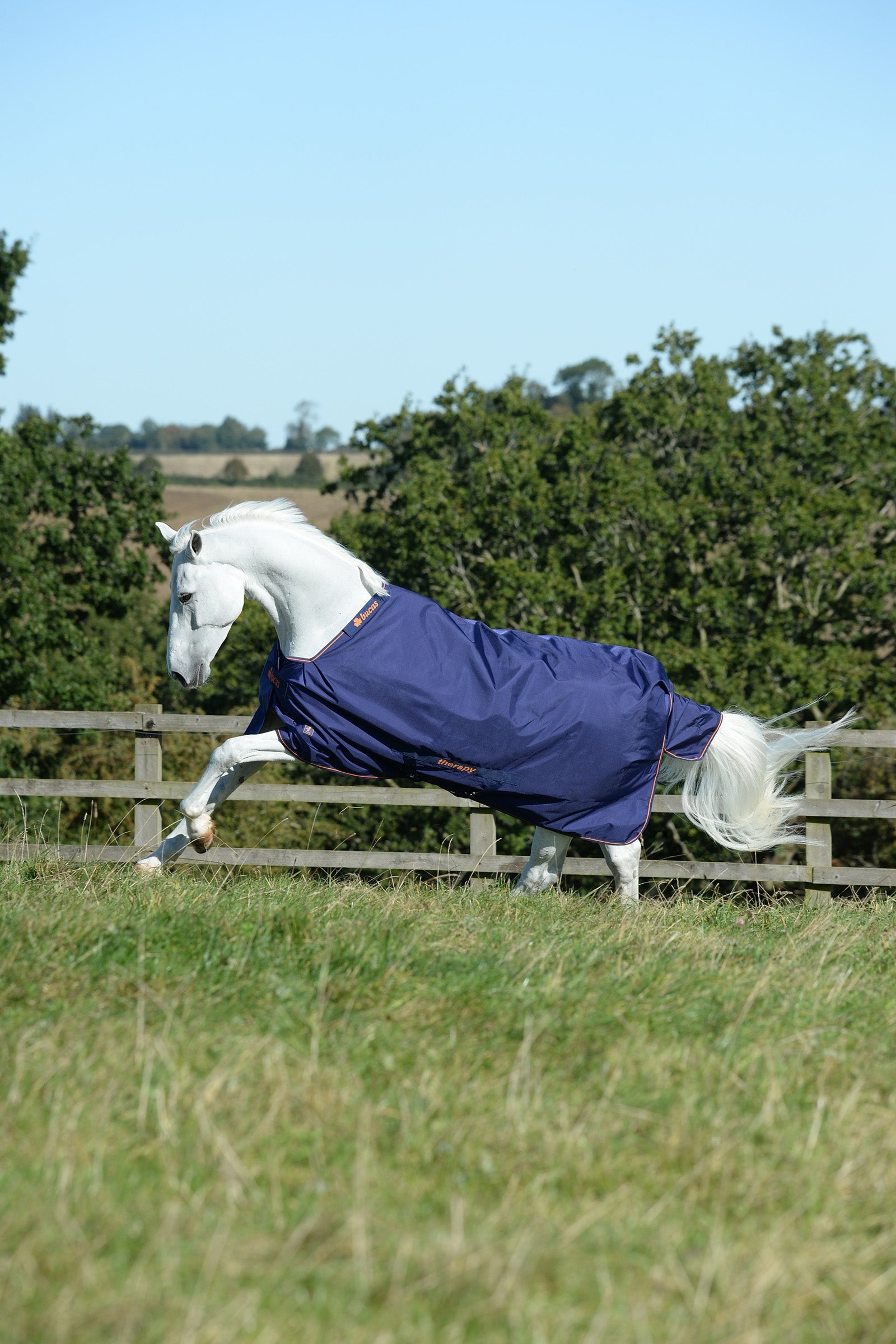 Bucas Therapy Turnout Rug, 150g Horse Rugs