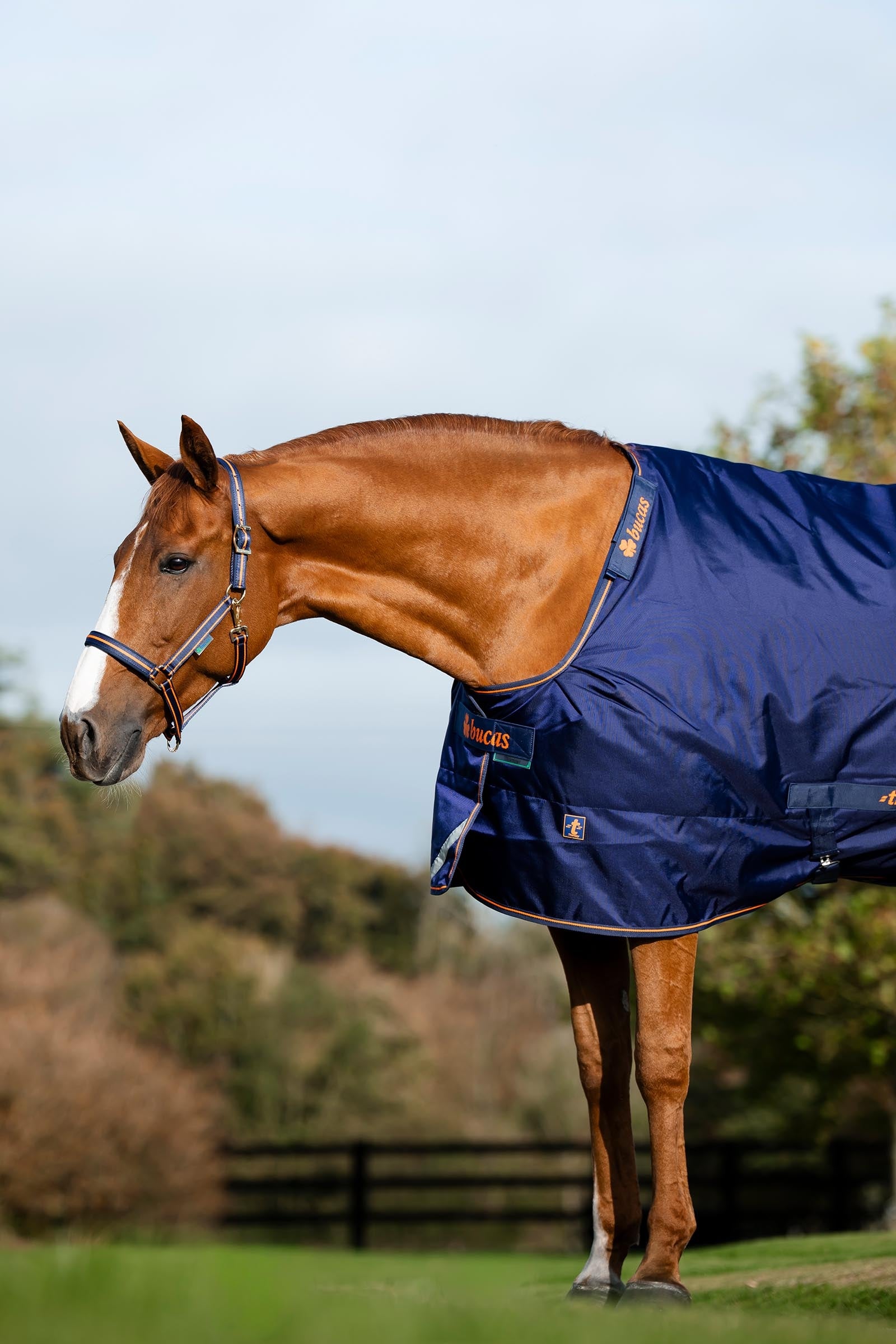 Bucas Therapy Turnout Rug, 150g Horse Rugs