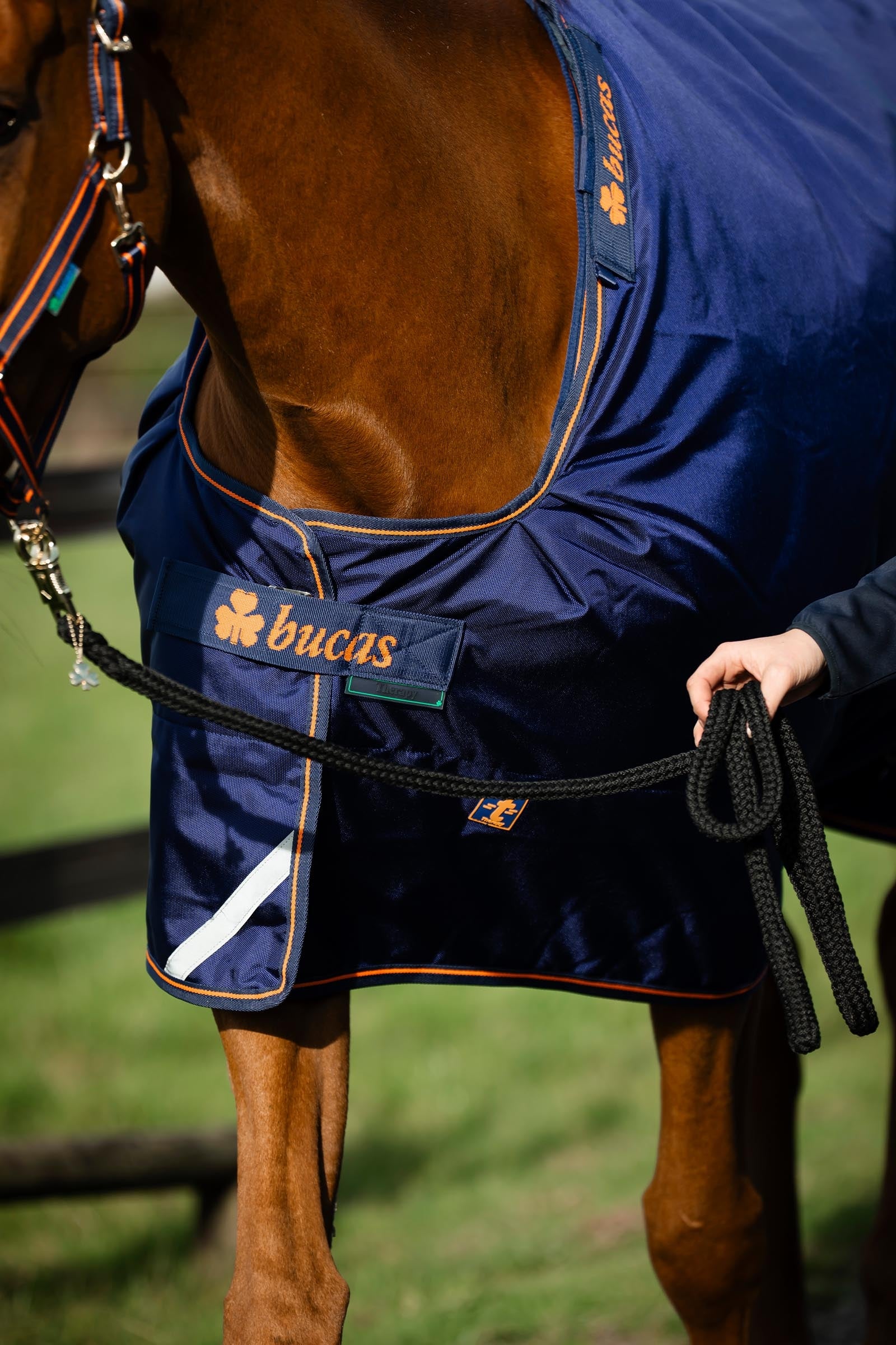 Bucas Therapy Turnout Rug, 150g Horse Rugs