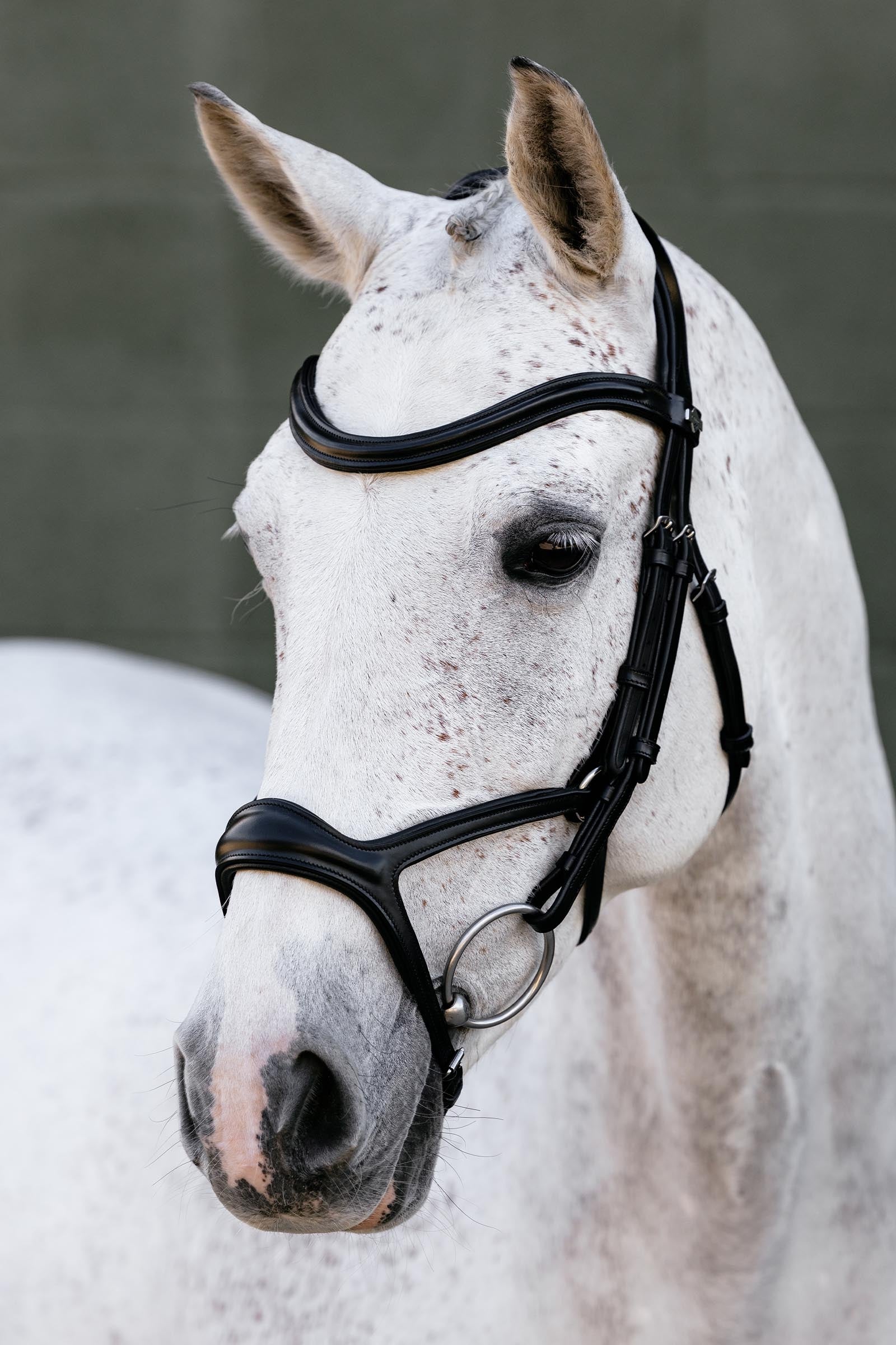 LeMieux Kudos Sport Bridle Bridles & Reins