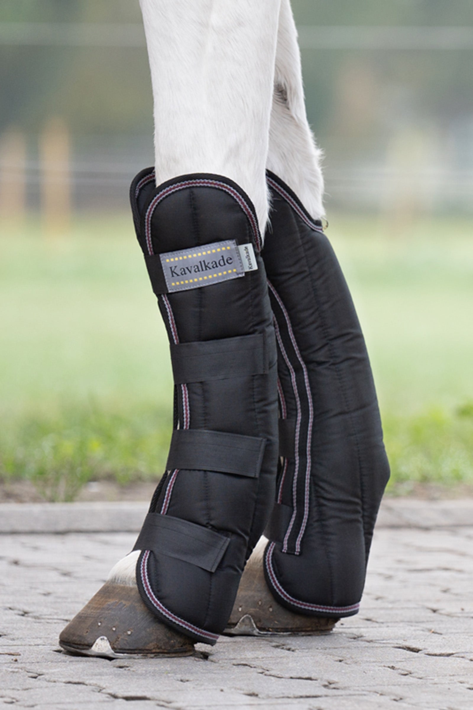 Kavalkade Montreal Travelling Boots (Set of 4) Leg & Hoof Protection