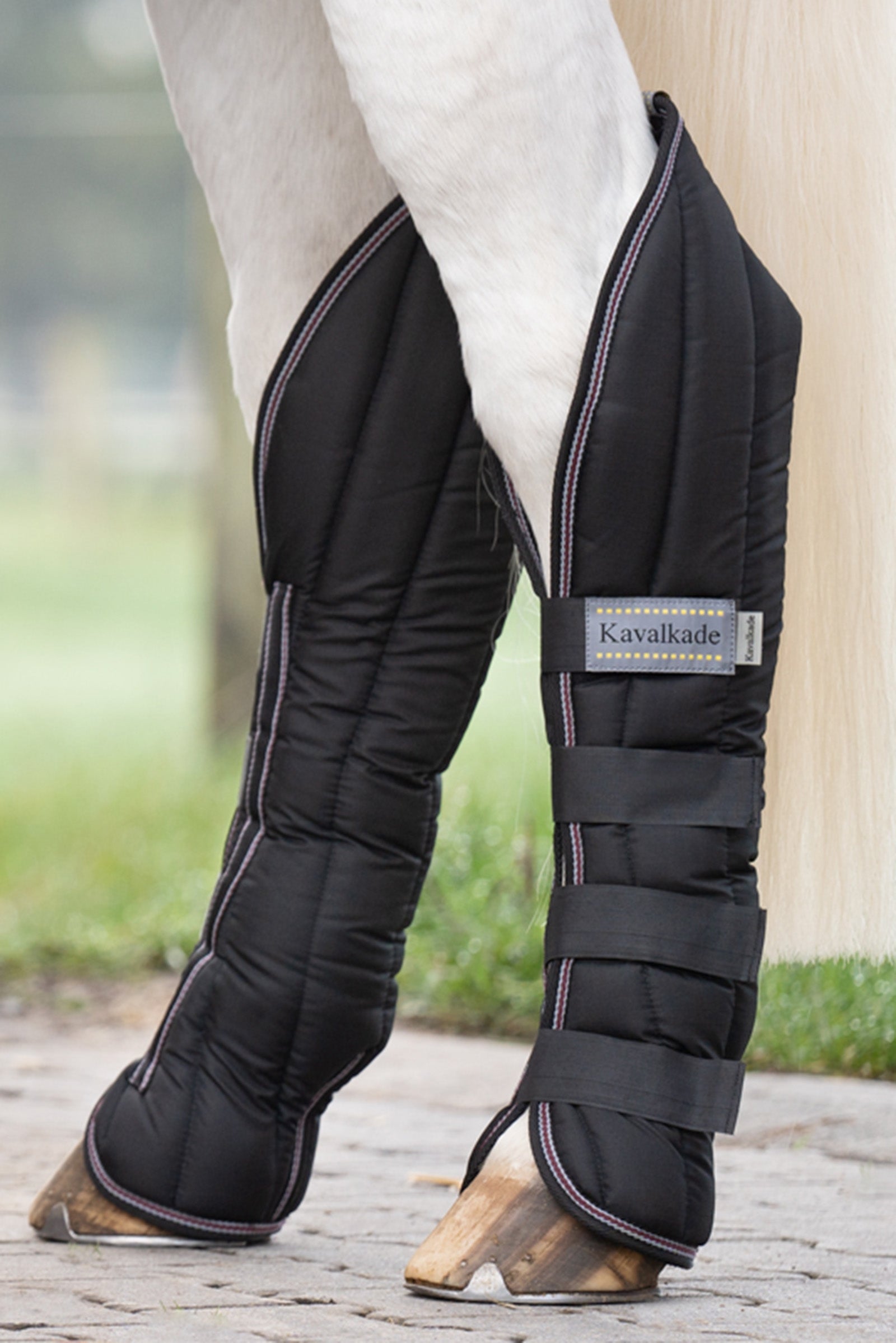 Kavalkade Montreal Travelling Boots (Set of 4) Leg & Hoof Protection