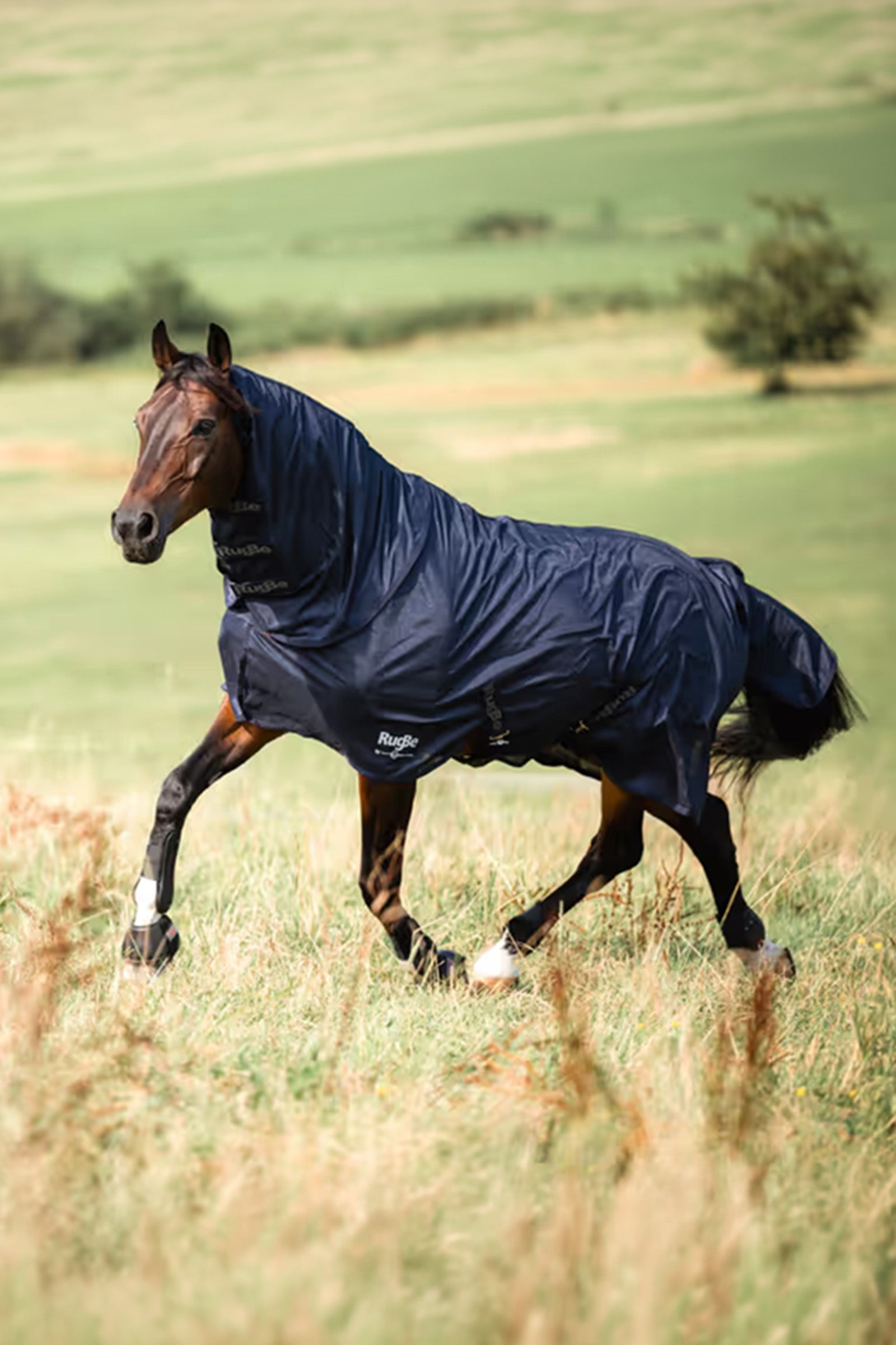 Covalliero RugBe Superfly Fly Rug Horse Rugs