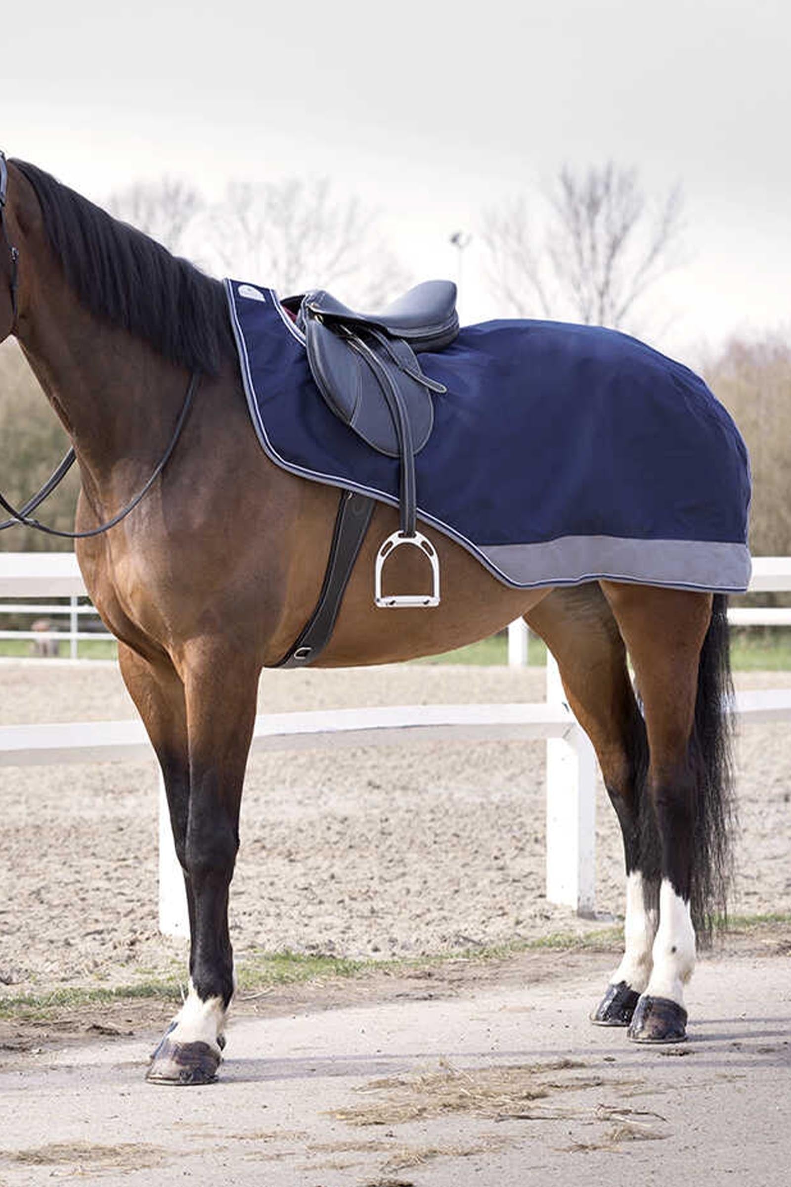 EQUITHÈME TYREX 600D Exercise Sheet Horse Rugs