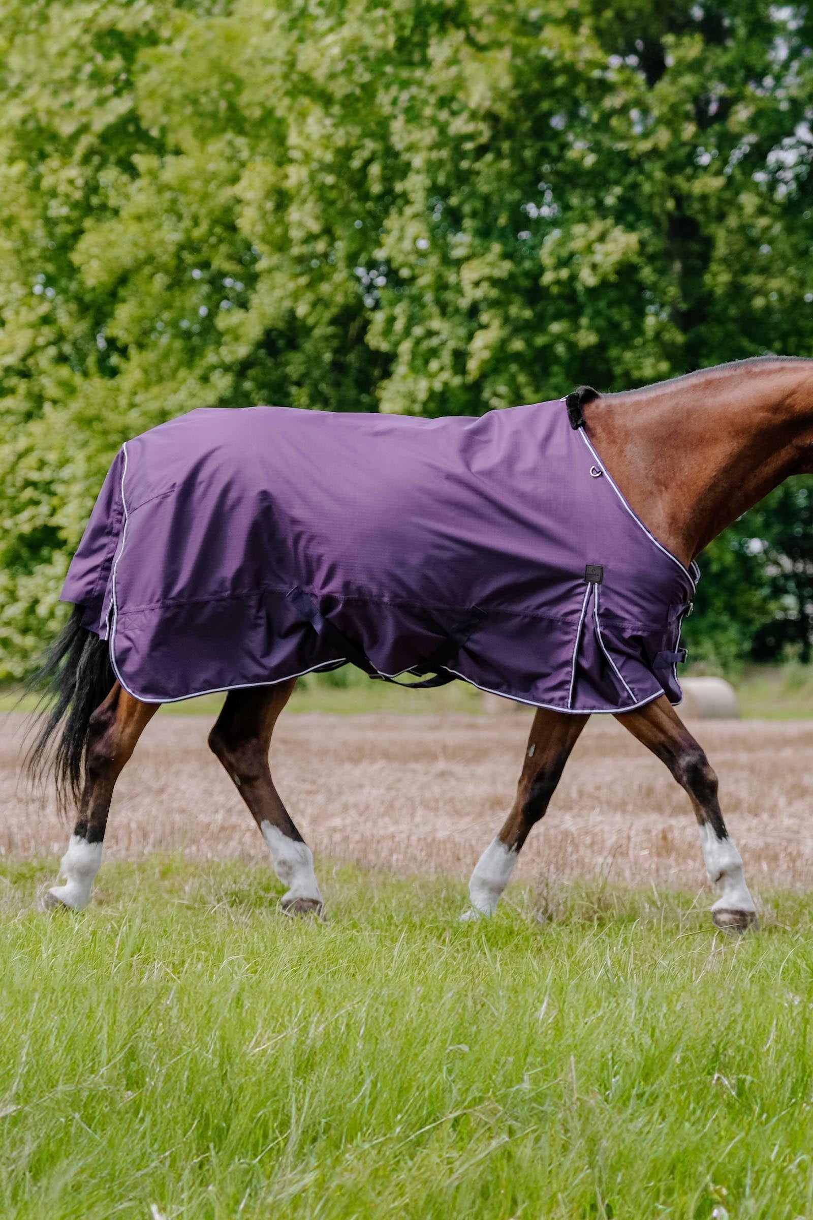 EQUITHÈME TYREX Aisance 600D Turnout Rug, 50 g Horse Rugs