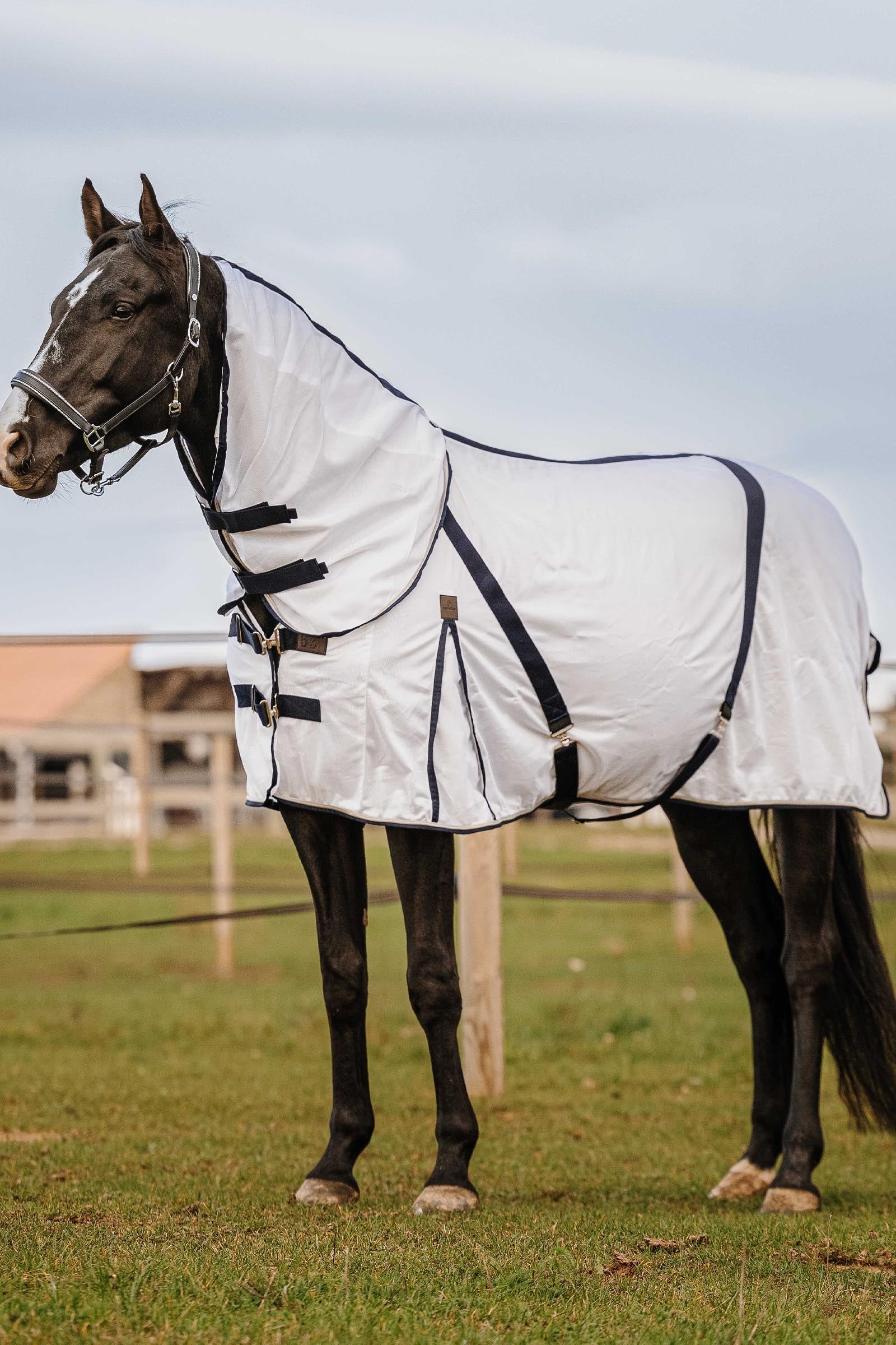EQUITHÈME Mesh Neck Cover Horse Rugs