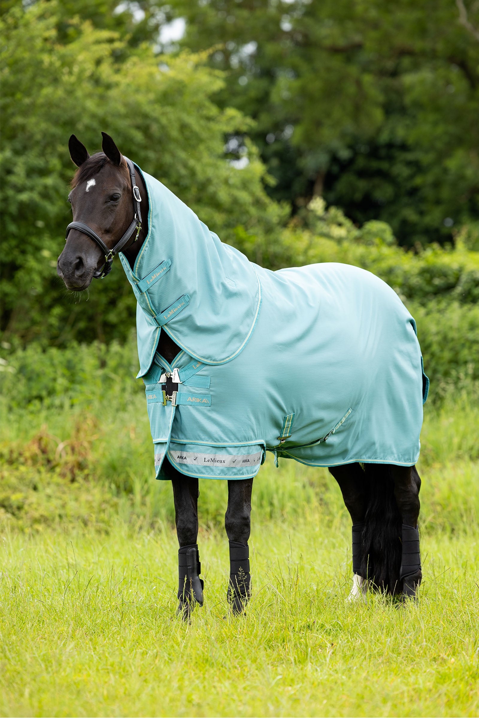 LeMieux Arika 600D Turnout Rug With Detachable Neck Part, 0g
 Horse Rugs