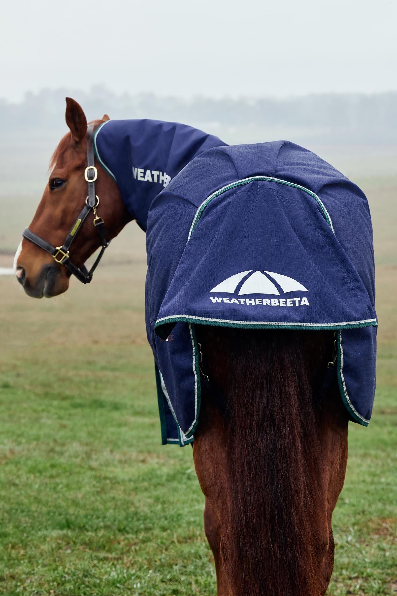 Weatherbeeta ComFiTecPlus Dynamic Turnout Detach-a-Neck, 100 g Horse Rugs