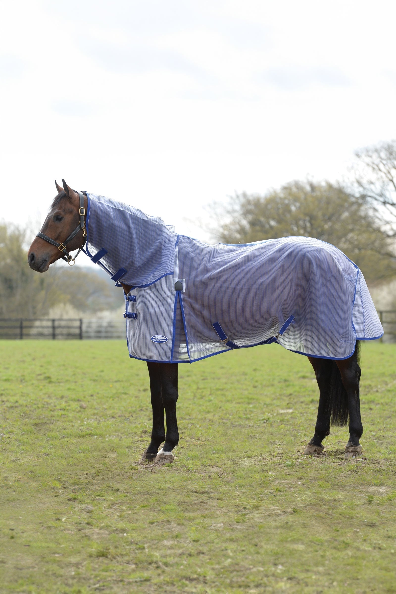 Weatherbeeta Comfitec Ripshield Plus with Ultra Belly Wrap Combo Neck Horse Rugs